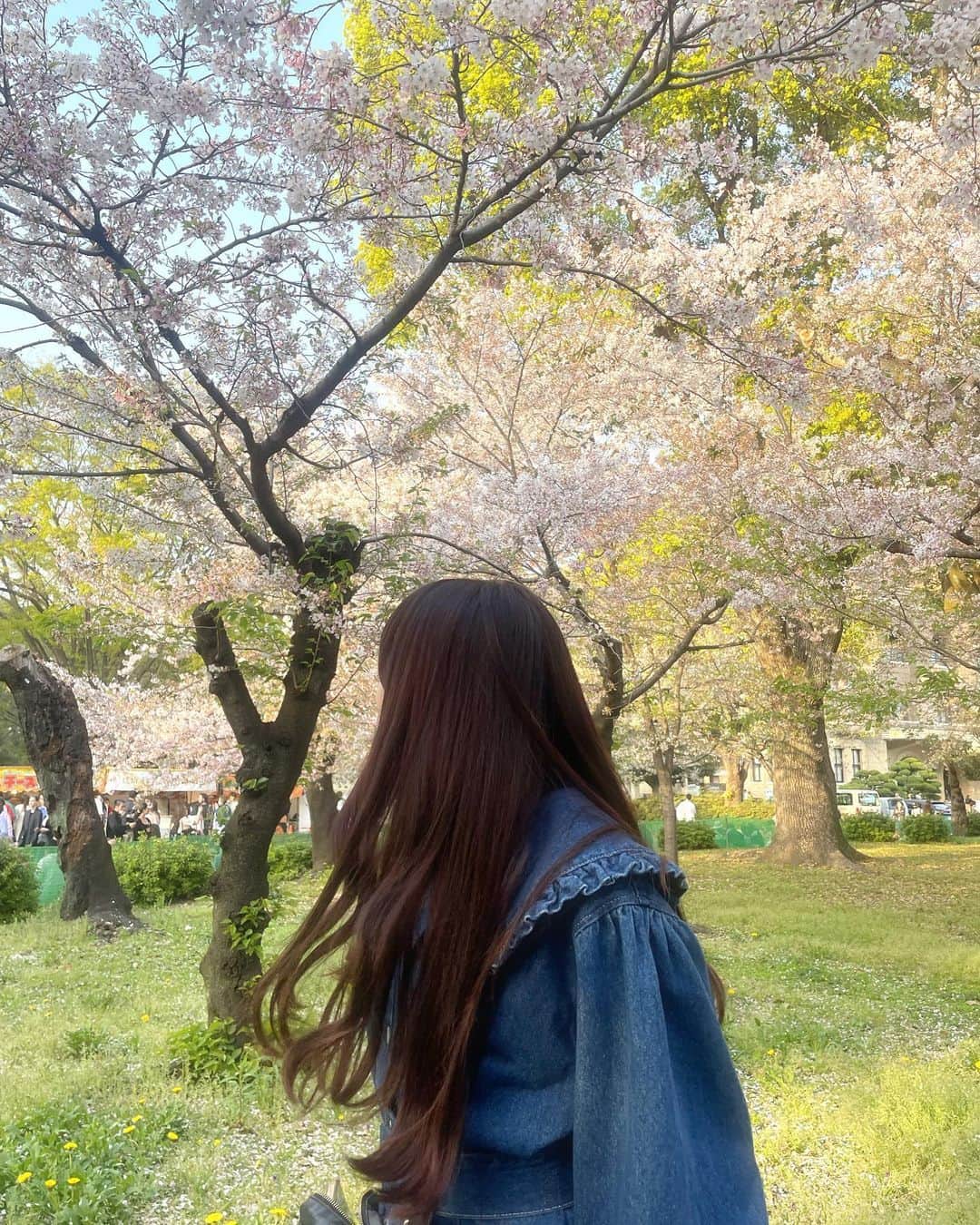 鈴木愛菜さんのインスタグラム写真 - (鈴木愛菜Instagram)「お花見今年は行けました🫶🏻 カバンにゴミ突っ込むタイプです。」4月7日 22時01分 - _enatan0109_
