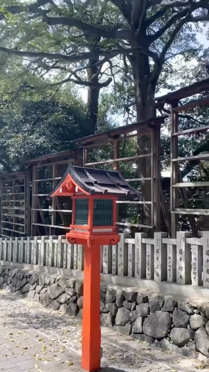 のインスタグラム：「Do you like spring in Japan??🌸」