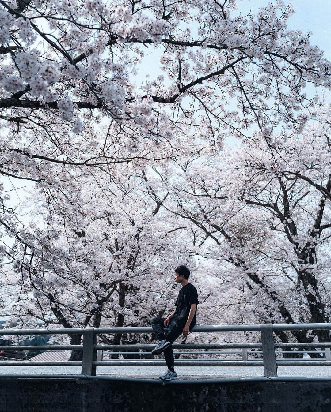 山口功貴さんのインスタグラム写真 - (山口功貴Instagram)「Seasons like this teaches us a lot in such little time :)」4月7日 22時25分 - kohki