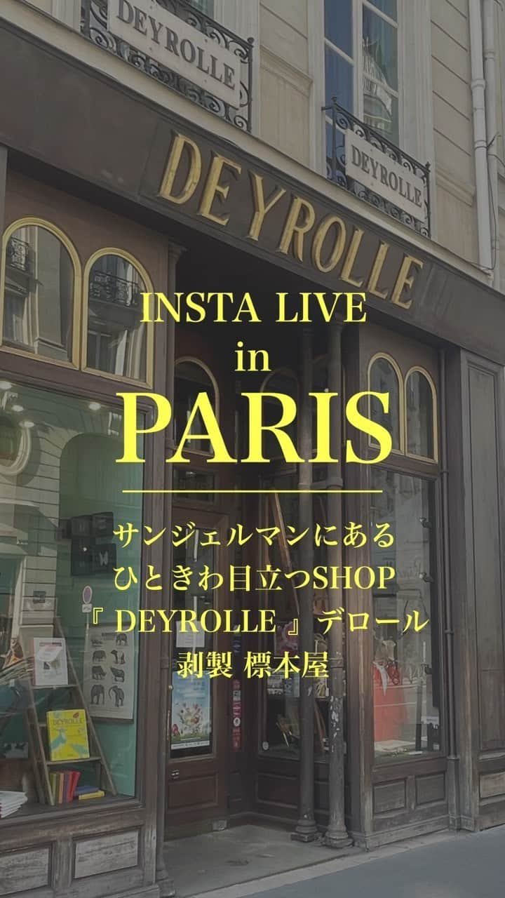 EFFIEのインスタグラム