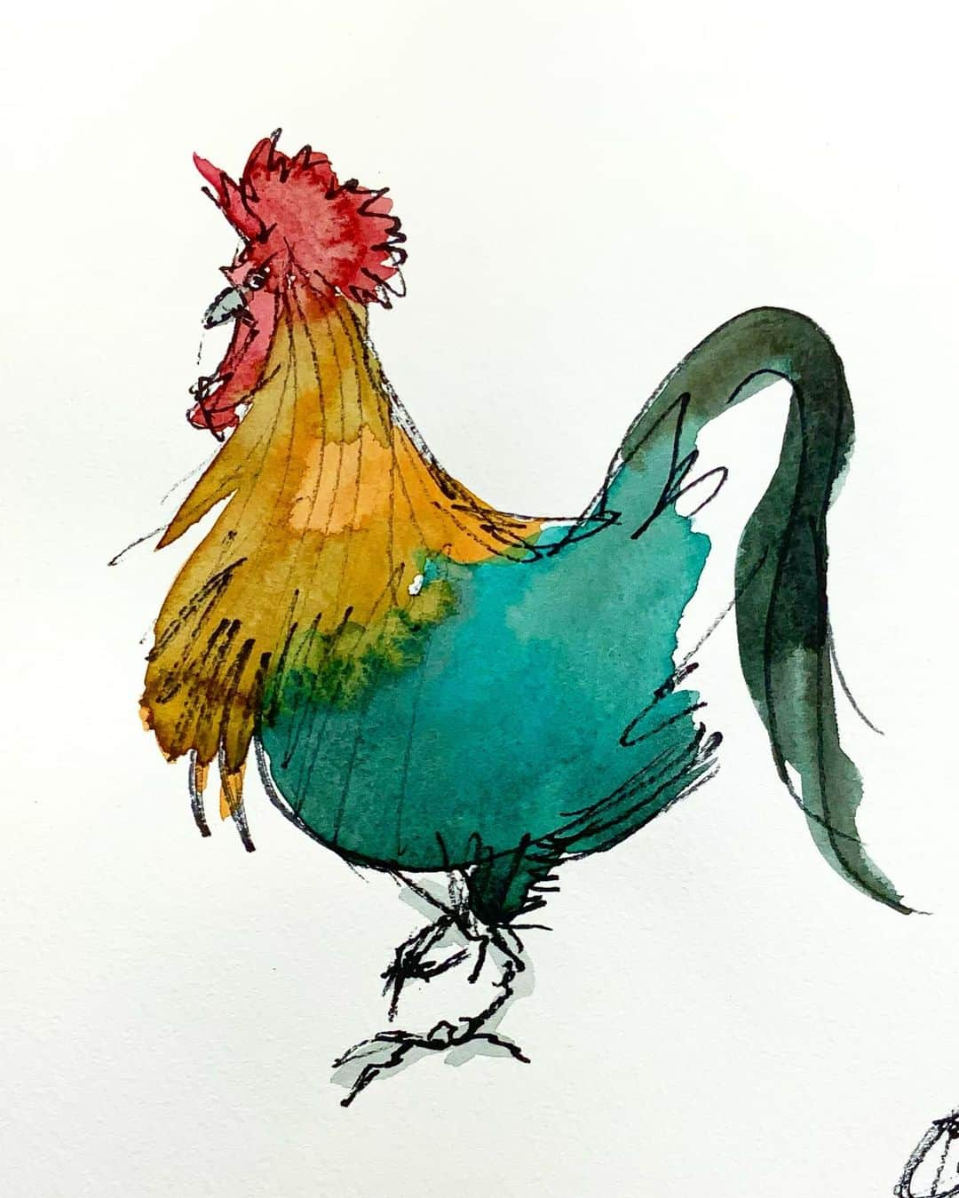 LiLi （矢野り々子）のインスタグラム：「雄鶏 rooster  lili 16yrs old  #雄鶏 #rooster #にわとり #illustration  #drawing #art  #watercolor #watercolorpainting  #矢野り々子」