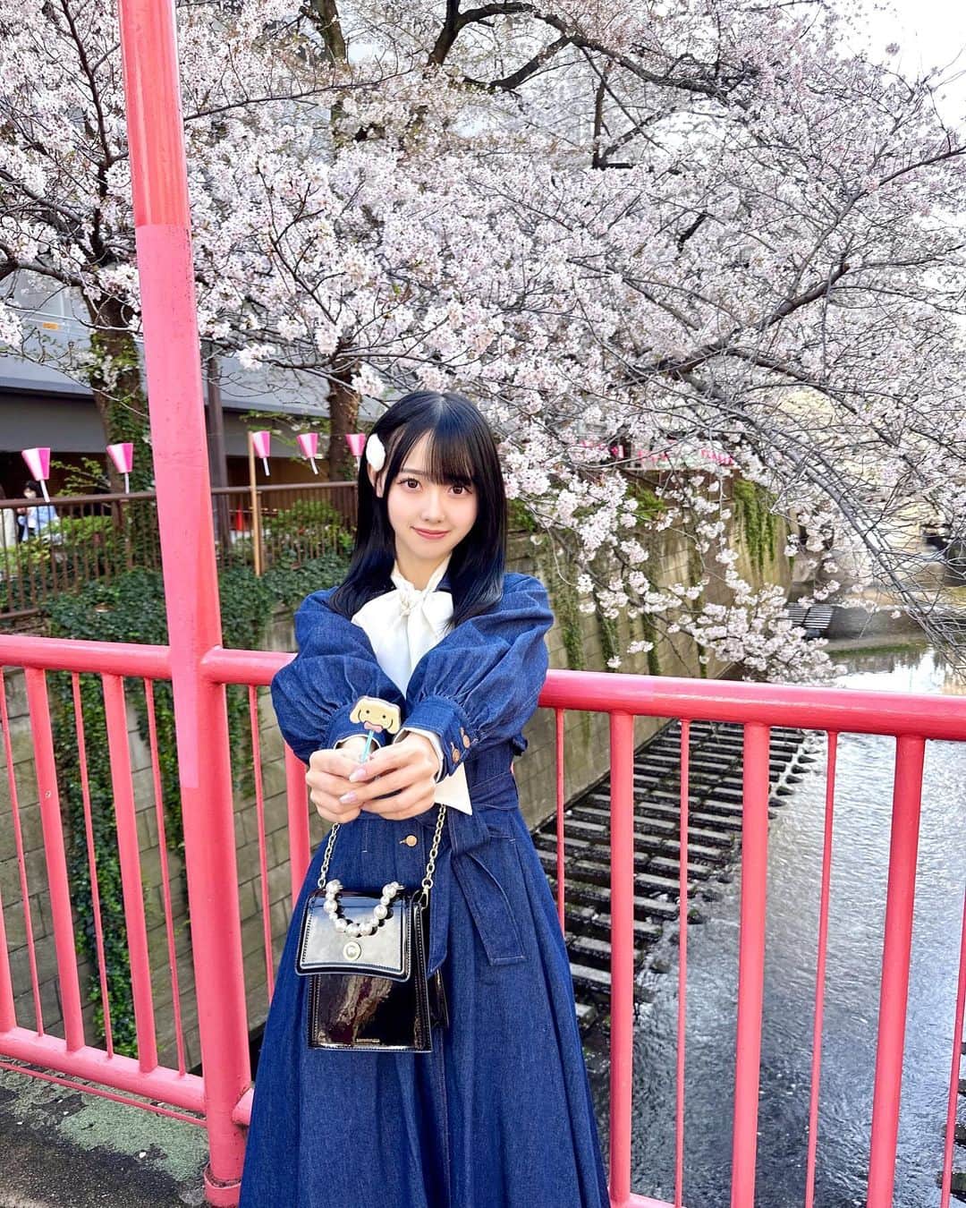 松本ももなさんのインスタグラム写真 - (松本ももなInstagram)「好きですか？𓂃⑅⃛ 大好き受け取って💕  16.6万フォロワーさんになりましたぁ🫧 いつもありがとう♡ みんなのコメントは私のモチベだよぉ💕  かわいいを更新できるように がんばります♡  あまあまゆるふわでこれからも よろしくにゃ(^⸝⸝o̴̶̷̤ ·̫ o̴̶̷̤⸝⸝^)  ໒꒰ྀི∩˃ ᵕ ˂∩꒱ྀི১いとしなもん🎀ིིིིྀ  #お花見 #sakura  #桜 #目黒川 #目黒川の桜 #cherryblossom #ソメイヨシノ #japanesegirl #kawaiigirl #벚꽃놀이 #벚꽃 #高嶺のなでしこ #takanenonadeshiko」4月7日 23時16分 - momona.1012