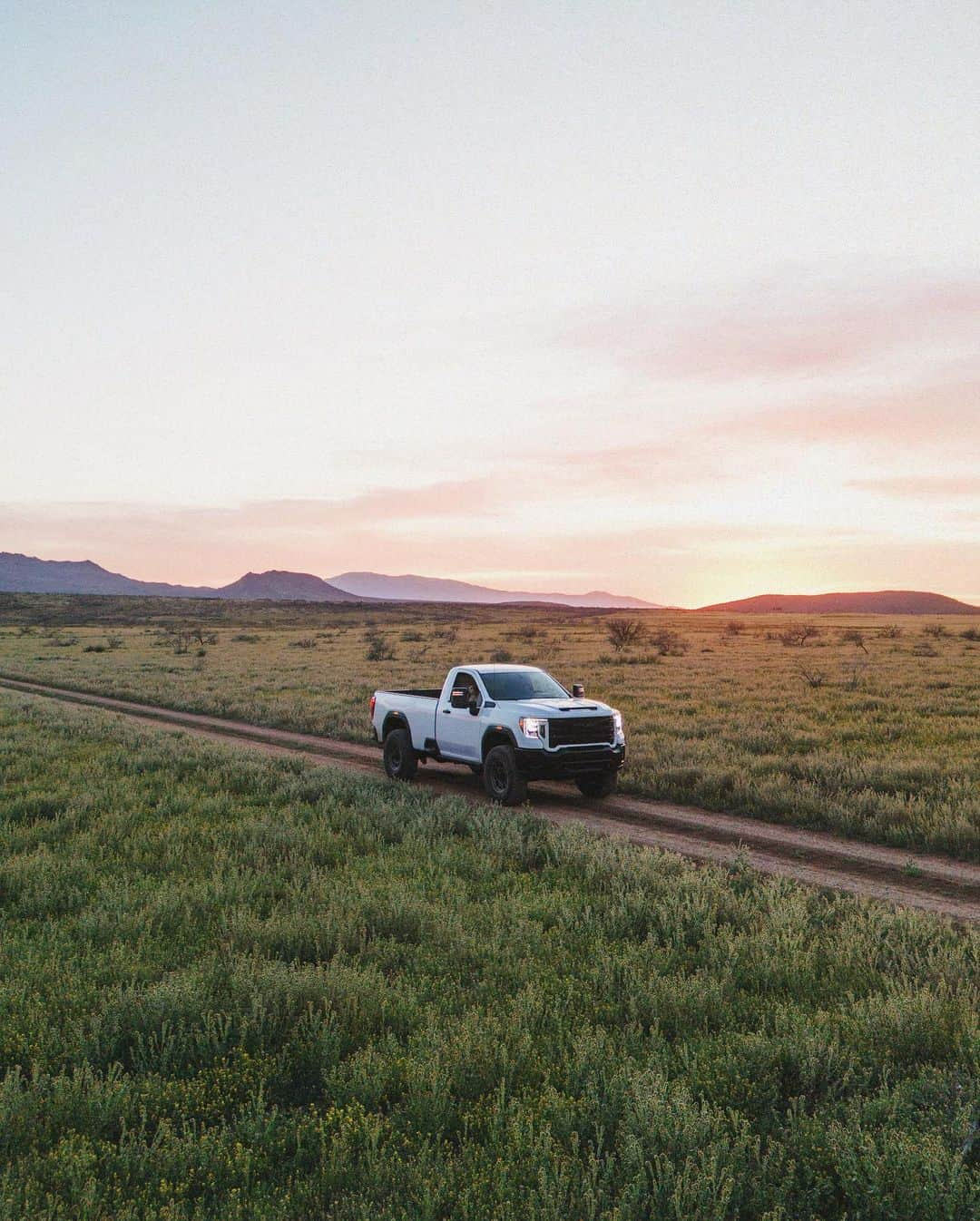 マディさんのインスタグラム写真 - (マディInstagram)「This pretty girl is slowing down, but I don’t mind, never felt like being in a hurry anyhow 🌵」4月7日 23時33分 - thiswildidea