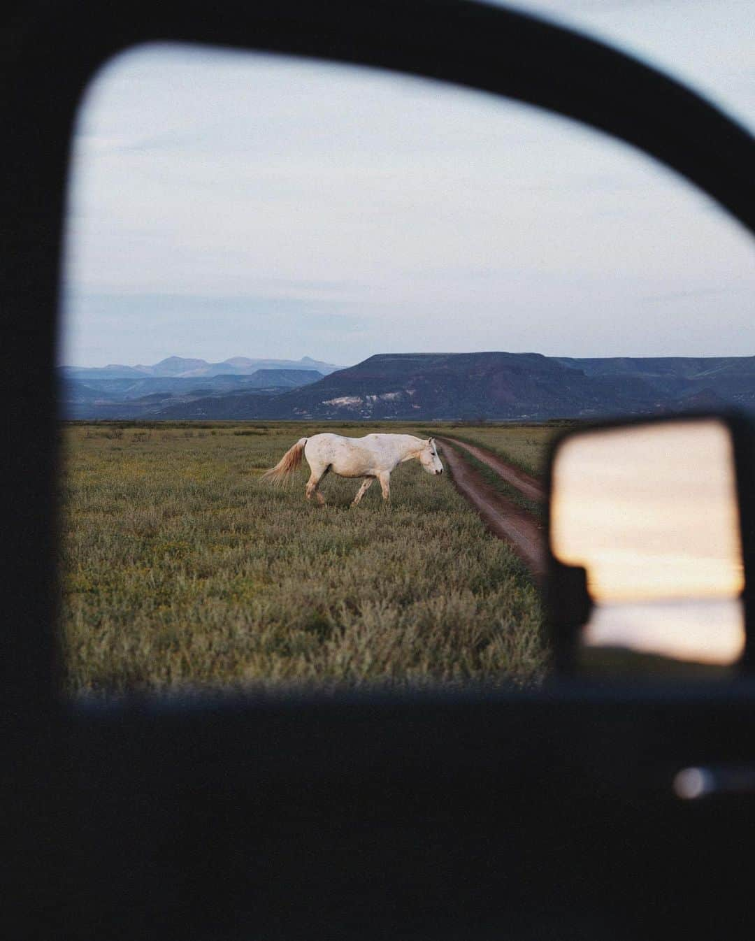 マディさんのインスタグラム写真 - (マディInstagram)「This pretty girl is slowing down, but I don’t mind, never felt like being in a hurry anyhow 🌵」4月7日 23時33分 - thiswildidea