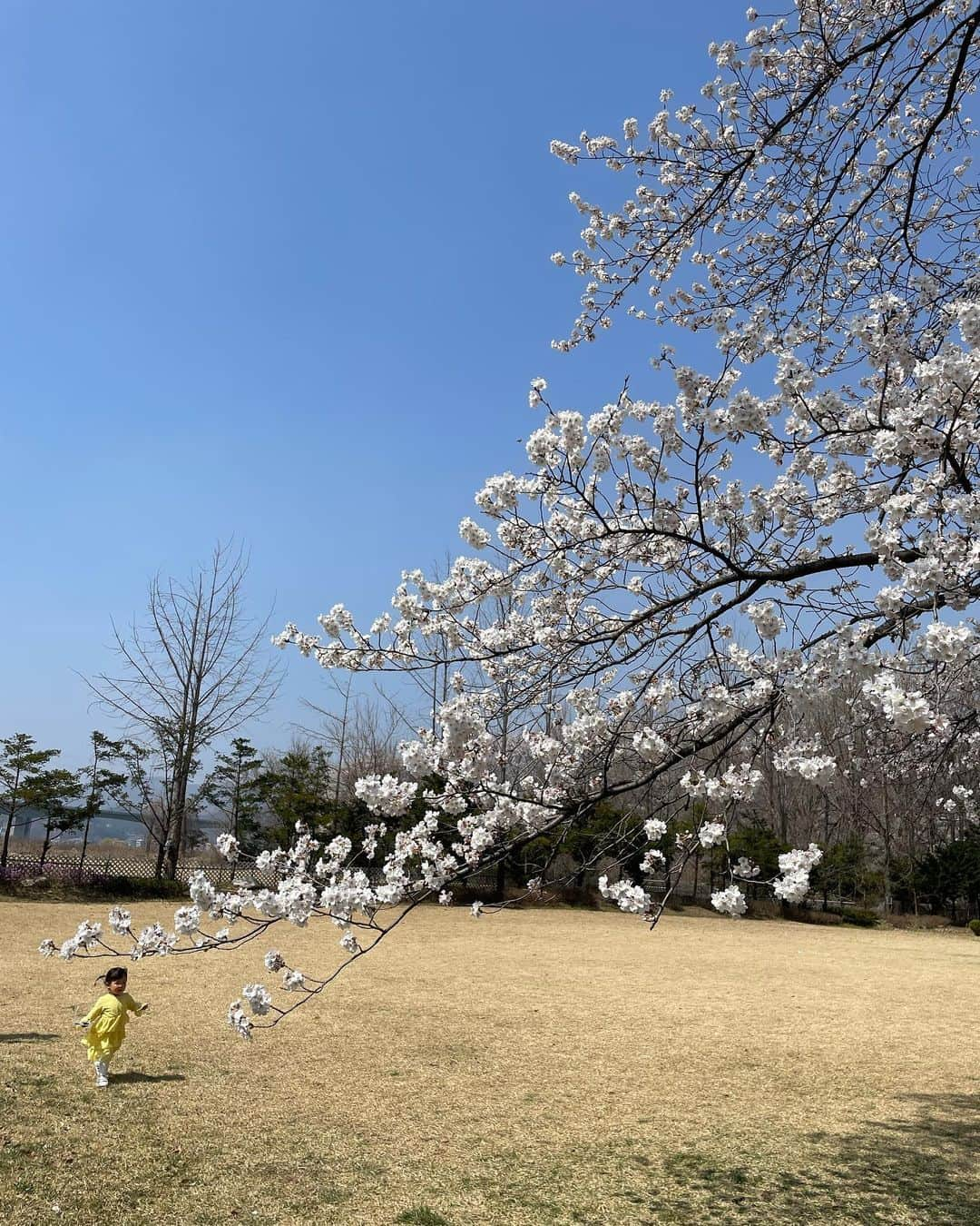 イ・ジュビンさんのインスタグラム写真 - (イ・ジュビンInstagram)「어느새 봄🌸🌼🌺🌻#생존신고」4月8日 0時19分 - hellobeen