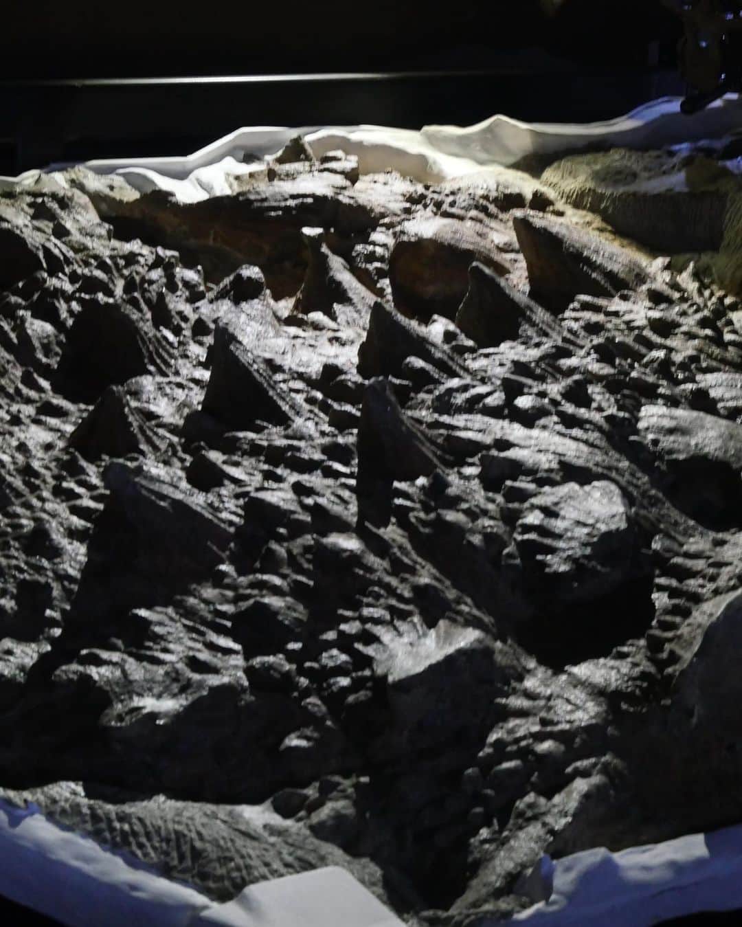 岩井七世さんのインスタグラム写真 - (岩井七世Instagram)「恐竜博2023 ナイトミュージアム🦖  持ち物は小さなライト。 閉館後の博物館に忍び込んだかのように静かで薄暗い館内で、色んな角度から明かりを照らして恐竜の骨格をまじまじと見る。光の角度やパーツによって色んな見え方があるな。暗闇に浮かび上がる恐竜たちと私たちは、完全に映画の世界にいた🔦  私は恐竜のなかでも角や鎧の類が特に好きなので、今回の主役とされている“トゲトゲ”恐竜、ズールの展示は最高でした。写真5枚目は暗闇の中でライトが当たったズールのズーム。背中がちゃんとトゲトゲしている。このような生物が実在したことを示してくれる化石。たまんねえ。  あとナイトミュージアムで懐中電灯を当ててみるとなると、やっぱり肉食恐竜のかっこよさも見逃せない🦖ジュラシックパークを連想させる巨大な鉤爪！(2枚目の写真)  そして3枚目の、壁に映る影。 骨とシルエットで見る恐竜、これも昼間は見られない光景でたまんねえ。ここ数年の展示で見かける、影で動く恐竜のマッピングもとても好き。想像力を掻き立てて、生きる姿の面影を感じさせてくれる展示。  そして毎年新しい発見や研究の成果をわかりやすく伝えてくださる考古学者の人々、大人も子供も楽しめるイベントやグッズを企画してくれる人々、恐竜にまつわる皆様ありがとうございます。どこまでも楽しませてくれる！ついて行きます！  ひとまずこちらの恐竜博2023は 昼間の展示もじっくり観たいので 舞台が終わったらまたすぐ。   そして私が出演する舞台『新約東海道四谷怪談』も、面白くなってるのでお楽しみに。2週間後なので誕生日祝いにでも観に来てください。  #恐竜博2023 #恐竜 #ズール  #国立科学博物館 #ジュラシックガール」4月8日 0時45分 - nanaseiwai