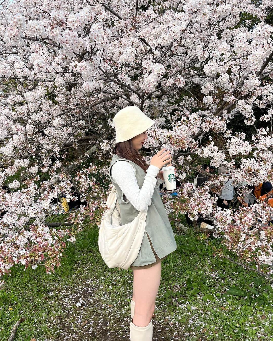 HARUのインスタグラム：「🌸☀️🍃」