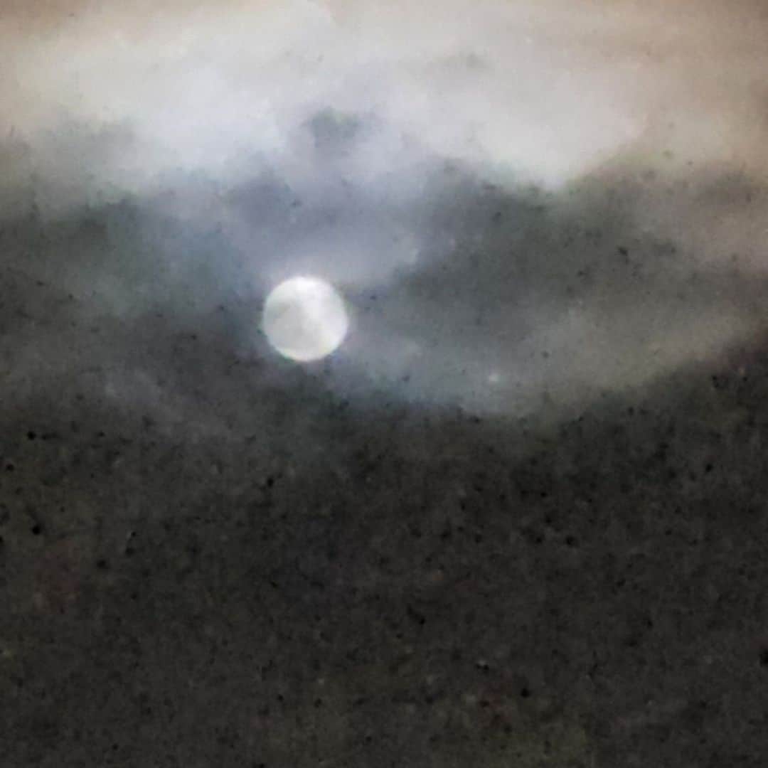 矢野きよ実さんのインスタグラム写真 - (矢野きよ実Instagram)「月が笑ってる名古屋市熱田区の月  夜遅くなっちゃったけど… 友だちを助けてもらえたお礼参りに。  雨上がりの夜空は空気が澄んでいて 地面が光っていて楠さんの葉っぱが敷詰められてて…… 大きく深呼吸して 体もきれいにしてもらえました  そしてこの写真はその友だちが撮ってくれた。ミラクルで元気でありがとう！ #yanokiyomi #矢野きよ実 #矢野きよ実の書」4月8日 6時20分 - yanokiyomi