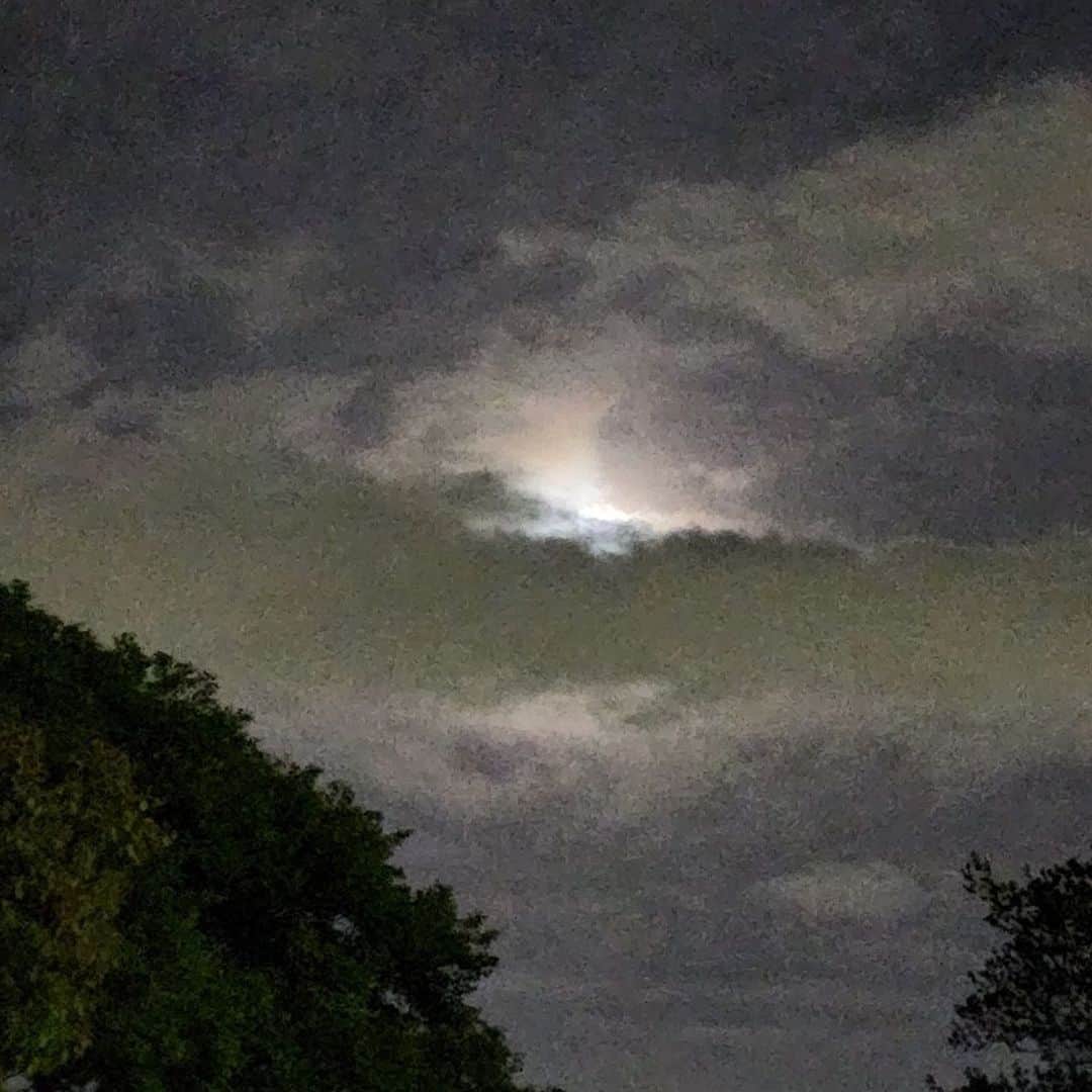 矢野きよ実さんのインスタグラム写真 - (矢野きよ実Instagram)「月が笑ってる名古屋市熱田区の月  夜遅くなっちゃったけど… 友だちを助けてもらえたお礼参りに。  雨上がりの夜空は空気が澄んでいて 地面が光っていて楠さんの葉っぱが敷詰められてて…… 大きく深呼吸して 体もきれいにしてもらえました  そしてこの写真はその友だちが撮ってくれた。ミラクルで元気でありがとう！ #yanokiyomi #矢野きよ実 #矢野きよ実の書」4月8日 6時20分 - yanokiyomi