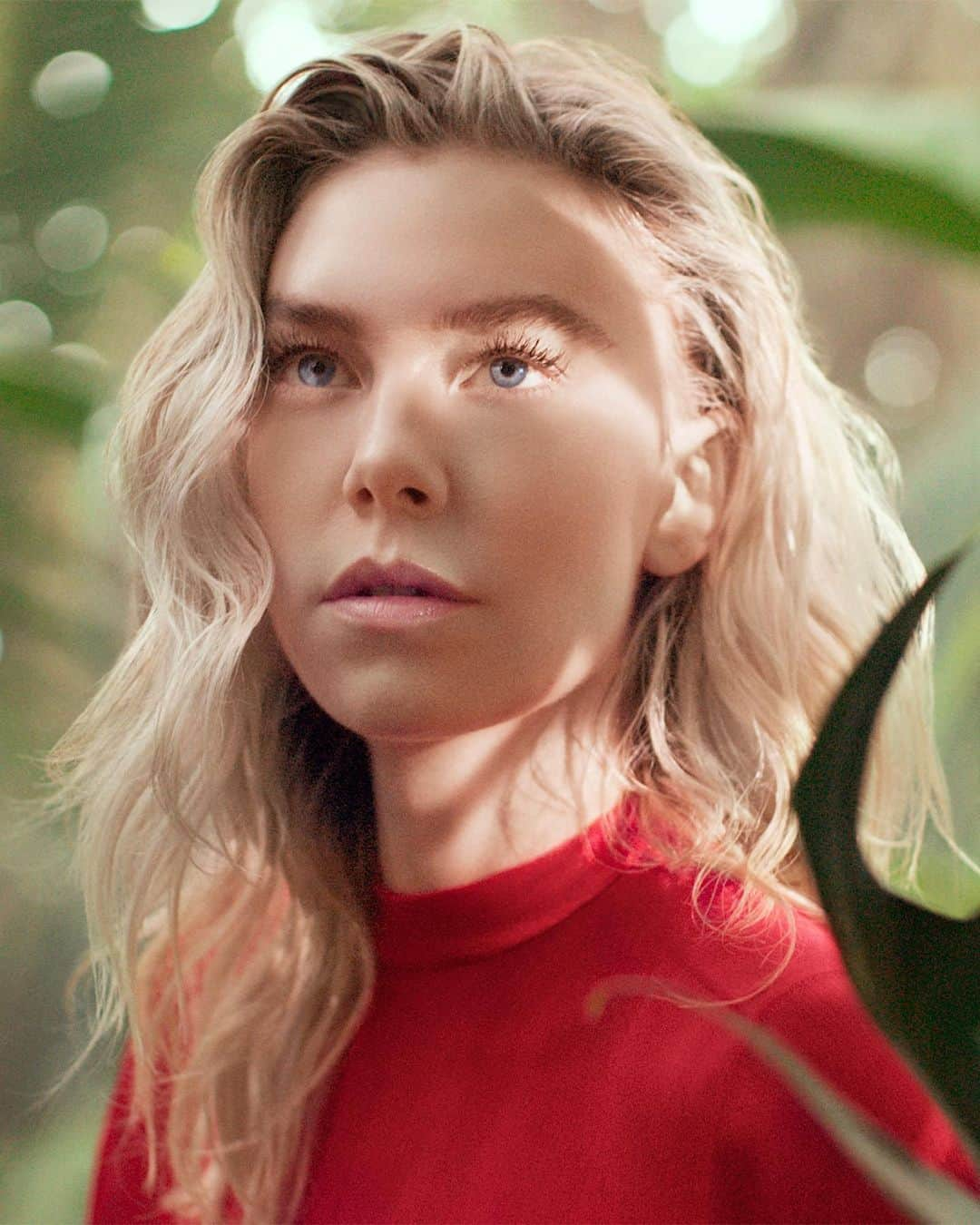 カルティエのインスタグラム：「Cartier returns to the origins of its beloved animal, guided by @vanessa__kirby through the heart of a tropical forest, where it all began. #PanthèredeCartier #CartierParfums」