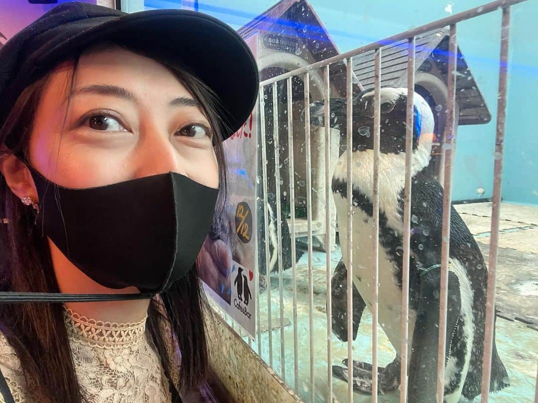 のインスタグラム：「……… ペンギン🐧との距離感✨❗️  こんな間近で見たことなかったのですが…ホワホワしてて✨可愛かったなぁ😍  ご飯も🍽にんじん🥕がペンギンになってたりと、細かいところにペンギン愛を感じるメニューで✨とっても美味しかったです😌  坊やはエサやり🐟を終えると、任務を達成したかのように眠りについてしまいましたが…きっと✨大興奮だったんだろうなぁ💕  ず〜っと🐧ペンペン💕ペンペン💕って言いながら、喜んでいたので、また連れてってあげたいです✨」
