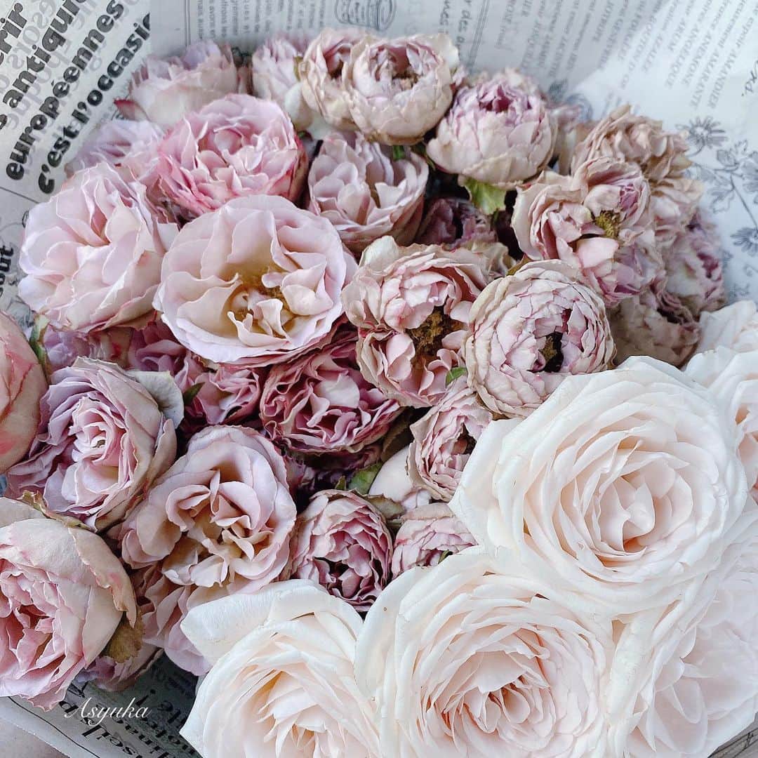 Yuka Kaedeのインスタグラム：「. . Beautiful Roses♡ . . . . #_asyuka_ #roses @atelierkyodoyabashi  #tv_fadingbeauty #stilllife_perfection #jj_still_life#jj_anarchy #jj_storytelling #photostyling #flatlay_moment #inspiredbyflowers #beautifulpetals #9vaga_shabbysoft9 #9vaga_flowersart9 #9vaga9 #tv_flowers #flowerstagra #flowerphotography #flowerlovers #myfloraldays」