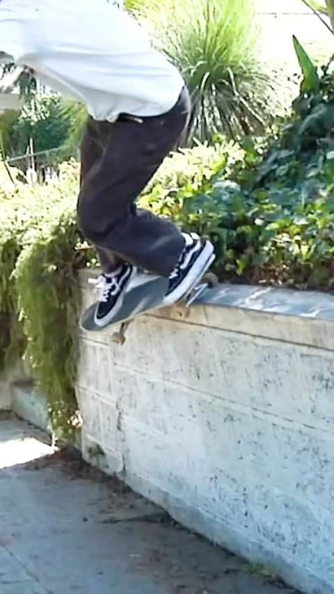 Vans Skateのインスタグラム
