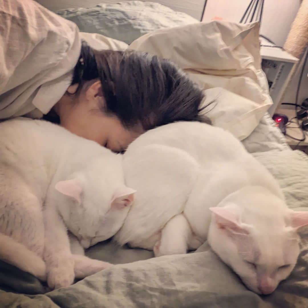 岡田屋鉄蔵のインスタグラム：「たまらん」