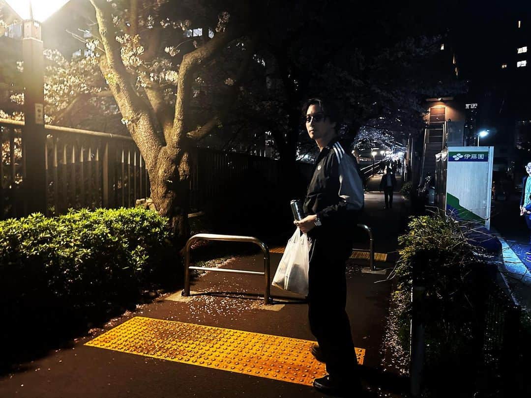 渡部秀のインスタグラム：「櫻燦々🌸  #夜」