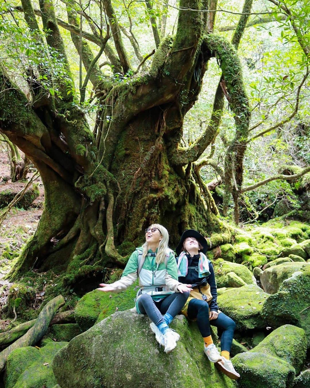 maakoさんのインスタグラム写真 - (maakoInstagram)「屋久島🦌⛰️🌲🪵 #白谷雲水峡　登山⛰️🥾  みく太郎写真集📷📖 一眼レフを片手に素敵な写真を いっぱい撮ってくれたみくちゃん🌈🌱📷  頂上の太鼓岩🪨まで挑戦できたのも 無事に帰れたのも ずっと手を繋いでサポートしてくれた みくちゃんのおかげ🫱🏾‍🫲🏼😭🩷 #世界一周のときを思い出した🌏👣  ずっと2人でケラケラふざけてるけど ここぞって時は全力でサポートしてくれて 言わずともすぐに色々気がついて助けてくれる💪🏾  ロウのこともめちゃくちゃ可愛がってくれて ロウもみくちゃんが大好き👦🏻🌱  ひと足先にみくちゃんが帰る日✈️ ありがとうの気持ちが溢れて 見送る玄関先で2人で号泣🤣😭 #帰ったらすぐ会えるのに笑  いつもありがとうー‼️‼️‼️ MY BEST PARTNER 🧒🏻👱🏾‍♀️👦🏻🌈  #屋久島旅行 #屋久島」4月8日 14時06分 - maakomind