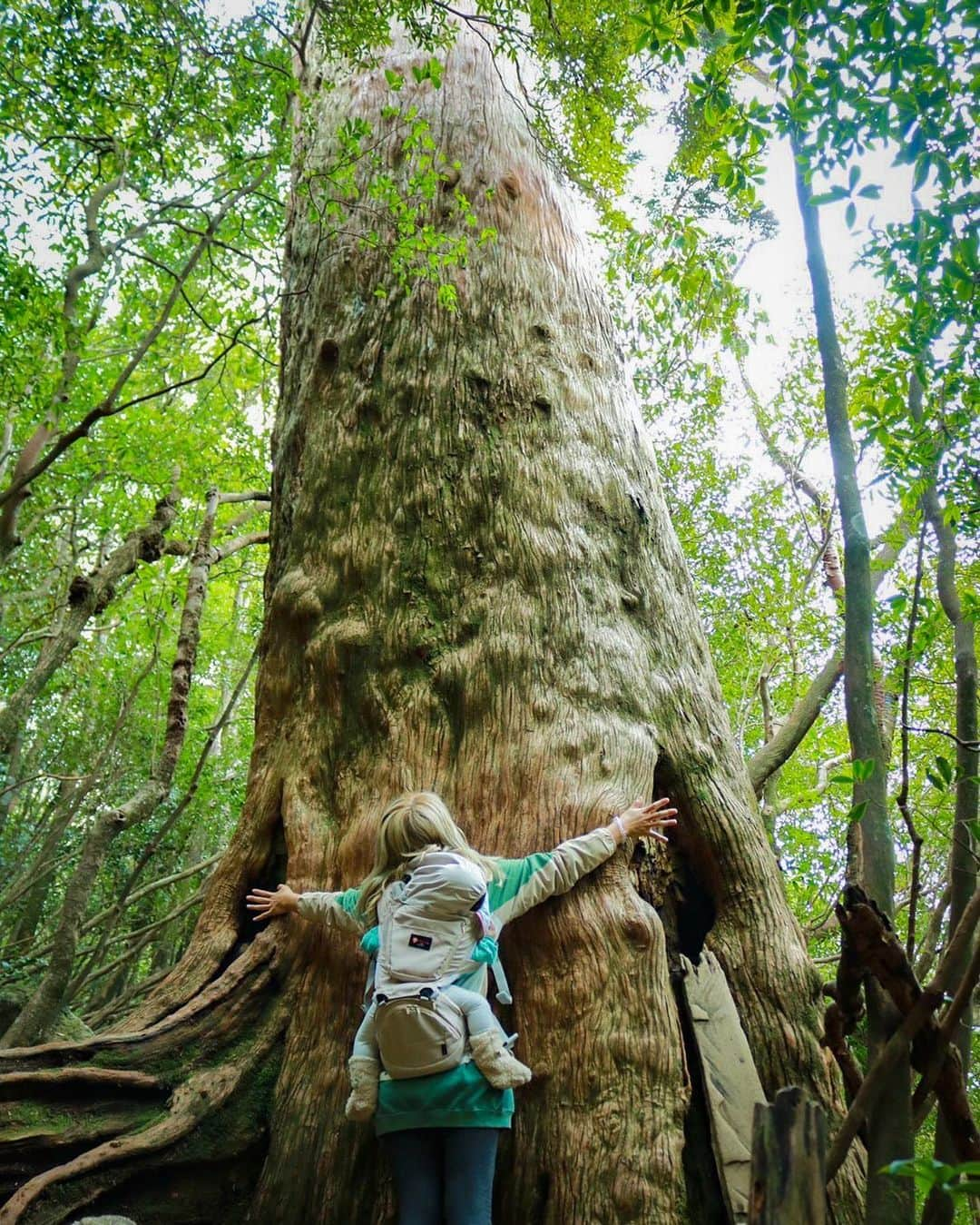 maakoさんのインスタグラム写真 - (maakoInstagram)「屋久島🦌⛰️🌲🪵 #白谷雲水峡　登山⛰️🥾  みく太郎写真集📷📖 一眼レフを片手に素敵な写真を いっぱい撮ってくれたみくちゃん🌈🌱📷  頂上の太鼓岩🪨まで挑戦できたのも 無事に帰れたのも ずっと手を繋いでサポートしてくれた みくちゃんのおかげ🫱🏾‍🫲🏼😭🩷 #世界一周のときを思い出した🌏👣  ずっと2人でケラケラふざけてるけど ここぞって時は全力でサポートしてくれて 言わずともすぐに色々気がついて助けてくれる💪🏾  ロウのこともめちゃくちゃ可愛がってくれて ロウもみくちゃんが大好き👦🏻🌱  ひと足先にみくちゃんが帰る日✈️ ありがとうの気持ちが溢れて 見送る玄関先で2人で号泣🤣😭 #帰ったらすぐ会えるのに笑  いつもありがとうー‼️‼️‼️ MY BEST PARTNER 🧒🏻👱🏾‍♀️👦🏻🌈  #屋久島旅行 #屋久島」4月8日 14時06分 - maakomind