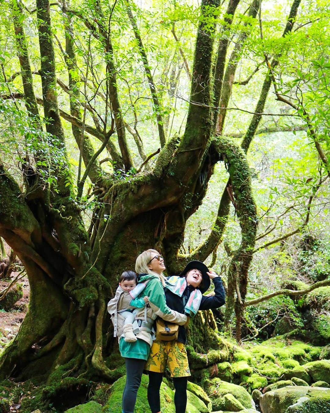 maakoさんのインスタグラム写真 - (maakoInstagram)「屋久島🦌⛰️🌲🪵 #白谷雲水峡　登山⛰️🥾  みく太郎写真集📷📖 一眼レフを片手に素敵な写真を いっぱい撮ってくれたみくちゃん🌈🌱📷  頂上の太鼓岩🪨まで挑戦できたのも 無事に帰れたのも ずっと手を繋いでサポートしてくれた みくちゃんのおかげ🫱🏾‍🫲🏼😭🩷 #世界一周のときを思い出した🌏👣  ずっと2人でケラケラふざけてるけど ここぞって時は全力でサポートしてくれて 言わずともすぐに色々気がついて助けてくれる💪🏾  ロウのこともめちゃくちゃ可愛がってくれて ロウもみくちゃんが大好き👦🏻🌱  ひと足先にみくちゃんが帰る日✈️ ありがとうの気持ちが溢れて 見送る玄関先で2人で号泣🤣😭 #帰ったらすぐ会えるのに笑  いつもありがとうー‼️‼️‼️ MY BEST PARTNER 🧒🏻👱🏾‍♀️👦🏻🌈  #屋久島旅行 #屋久島」4月8日 14時06分 - maakomind