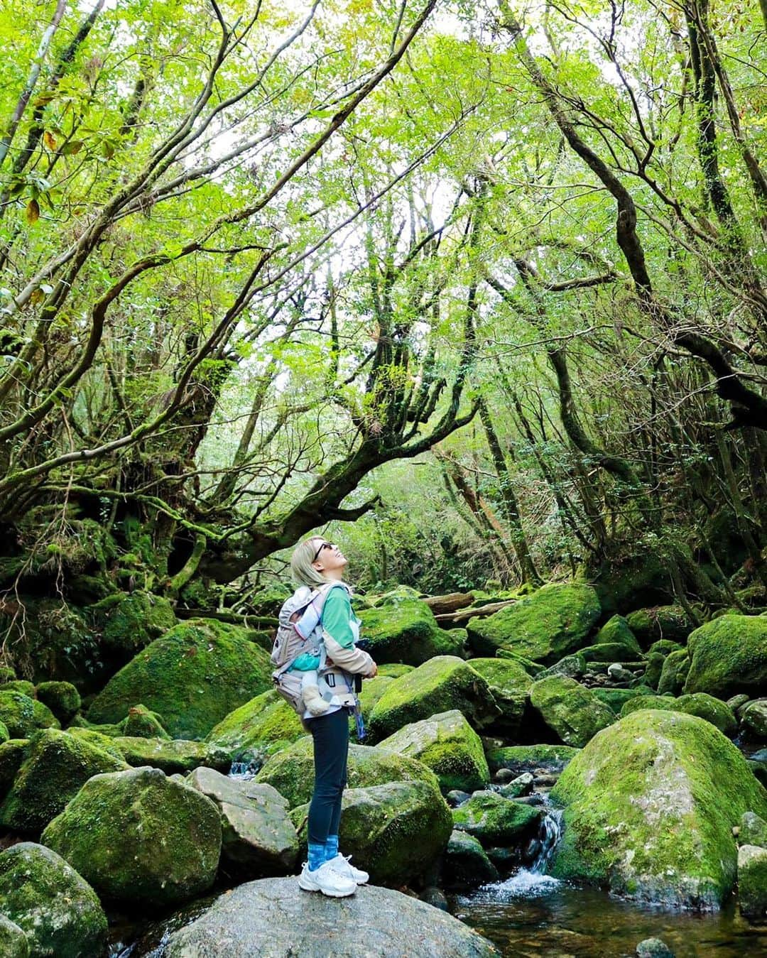 maakoさんのインスタグラム写真 - (maakoInstagram)「屋久島🦌⛰️🌲🪵 #白谷雲水峡　登山⛰️🥾  みく太郎写真集📷📖 一眼レフを片手に素敵な写真を いっぱい撮ってくれたみくちゃん🌈🌱📷  頂上の太鼓岩🪨まで挑戦できたのも 無事に帰れたのも ずっと手を繋いでサポートしてくれた みくちゃんのおかげ🫱🏾‍🫲🏼😭🩷 #世界一周のときを思い出した🌏👣  ずっと2人でケラケラふざけてるけど ここぞって時は全力でサポートしてくれて 言わずともすぐに色々気がついて助けてくれる💪🏾  ロウのこともめちゃくちゃ可愛がってくれて ロウもみくちゃんが大好き👦🏻🌱  ひと足先にみくちゃんが帰る日✈️ ありがとうの気持ちが溢れて 見送る玄関先で2人で号泣🤣😭 #帰ったらすぐ会えるのに笑  いつもありがとうー‼️‼️‼️ MY BEST PARTNER 🧒🏻👱🏾‍♀️👦🏻🌈  #屋久島旅行 #屋久島」4月8日 14時06分 - maakomind