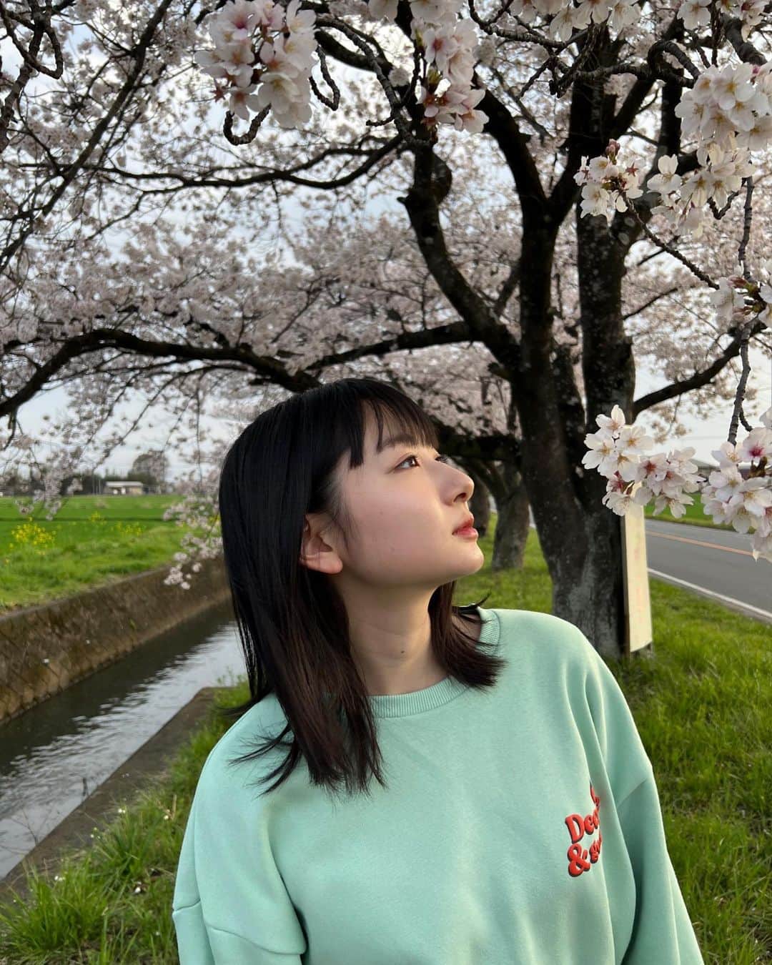 小室ゆらさんのインスタグラム写真 - (小室ゆらInstagram)「地元の桜も綺麗でした🌸 桜の季節終わっちゃったの寂しいけど 今年は沢山堪能できてよかった‪^_−♡‬ ⁡ 皆さまの週末の予定はなんですか🪿？？ 天気が悪いので今日は傘を忘れずに..！ ⁡ ⁡ .」4月8日 14時13分 - komuro_yura_official