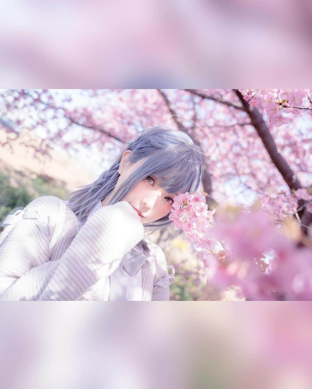 Elyさんのインスタグラム写真 - (ElyInstagram)「Angel's Halo   天使の輪  #ely #elycosplay #portrait #sakura #seifuku #制服 #angel」4月8日 14時28分 - eeelyeee