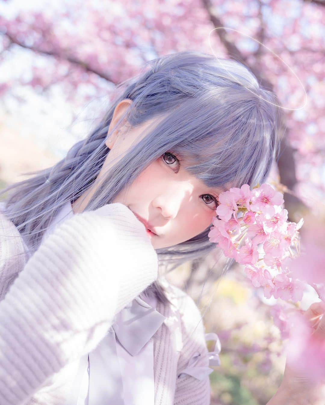 Elyのインスタグラム：「Angel's Halo   天使の輪  #ely #elycosplay #portrait #sakura #seifuku #制服 #angel」