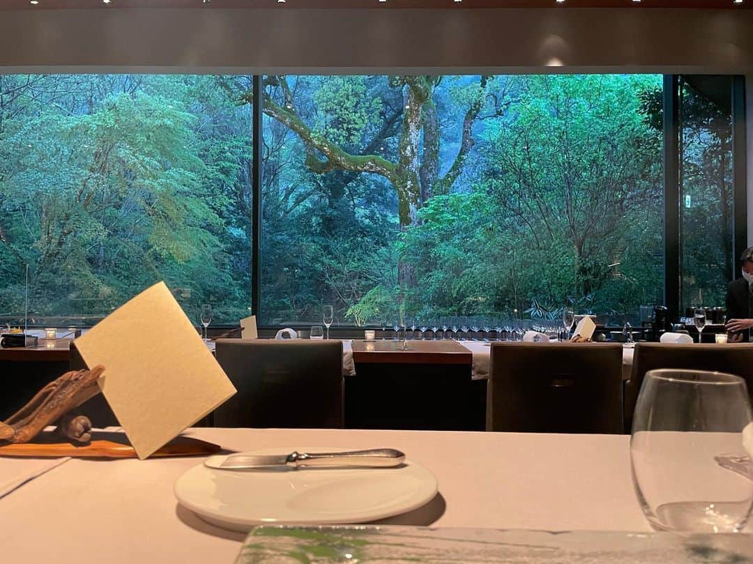 藤沢久美さんのインスタグラム写真 - (藤沢久美Instagram)「昨夜は3ヶ月ぶりのアルカナイズ。雨が似合う森を見ながら、今回も魔法使いとしか思えないシェフのお料理を堪能しました。  #アルカナイズ  #静岡県」4月8日 15時10分 - kumifujisawa
