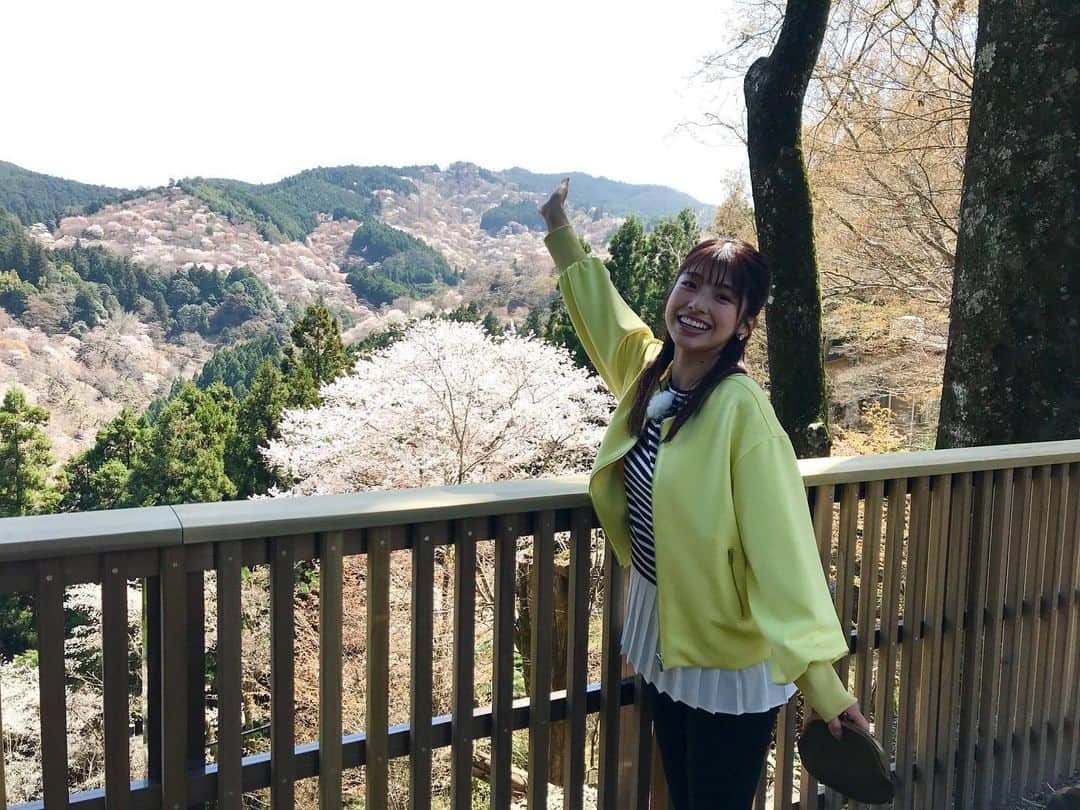 舘山聖奈さんのインスタグラム写真 - (舘山聖奈Instagram)「⁡ 今日のフットマップは奈良の吉野でお花見SPです🍡 ⁡ 私も心から楽しみにしていた “一目千本”の吉野の桜は圧巻！！ ⁡ 今年は最高のお花見ができました🌸✨ ⁡ みなさんも吉野でのお花見まだ間に合いますので 今日のフットマップぜひ参考にしてくださいね☺️ ⁡ 桜を堪能したあとはアクティブにカヤックも！ ⁡ よる6時30分からです！ ⁡ #フットマップ #offっとまっぷ #カンテレ」4月8日 15時09分 - seina_tateyama_