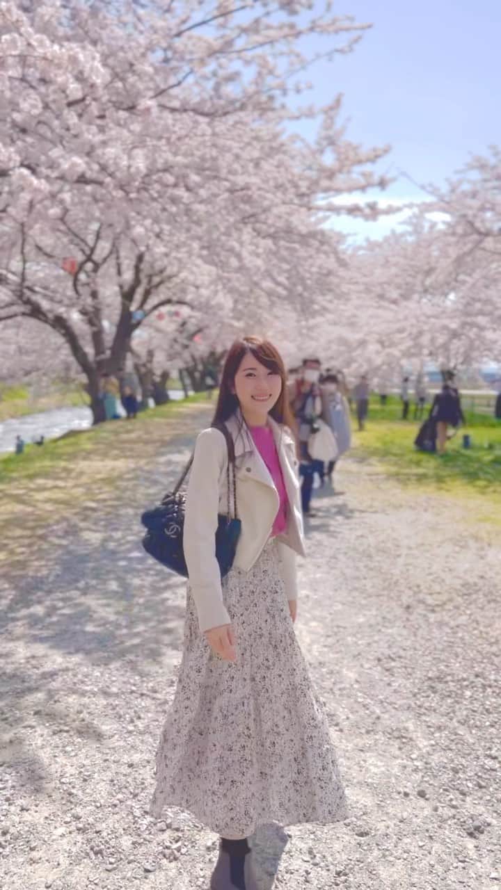佐倉知里のインスタグラム：「春の四重奏｡❀ 𓂃𓈒𓏸 桜のトンネル🌸          #さくら#桜#sakura#春の四重奏#桜のトンネル#富山」
