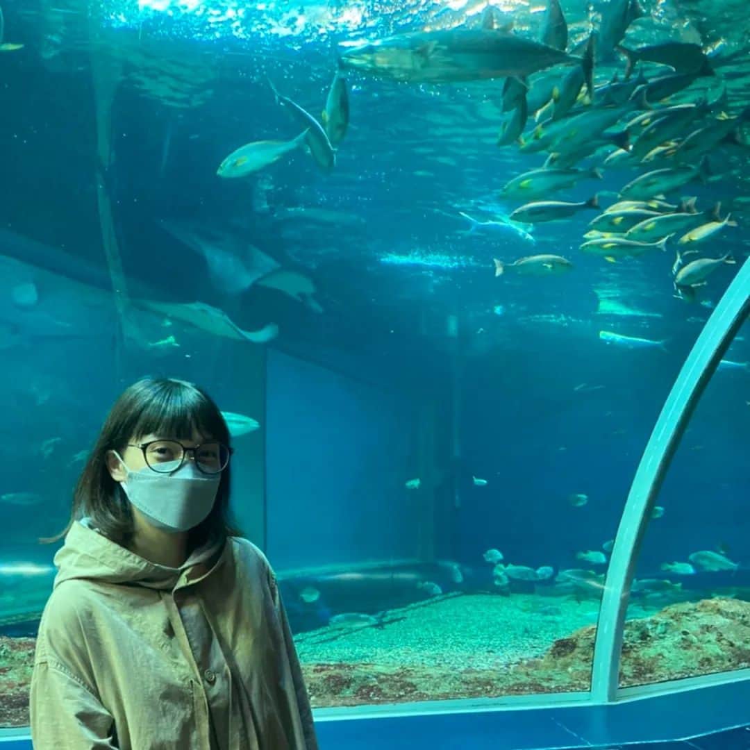Kaedeさんのインスタグラム写真 - (KaedeInstagram)「マリンピア日本海へ行ってきました🙌✨ お魚たくさん、イルカばっしゃーん、楽しかったです😊 Negiccoもいました！ #マリンピア日本海 #水族館」4月8日 15時18分 - kaede_ngc