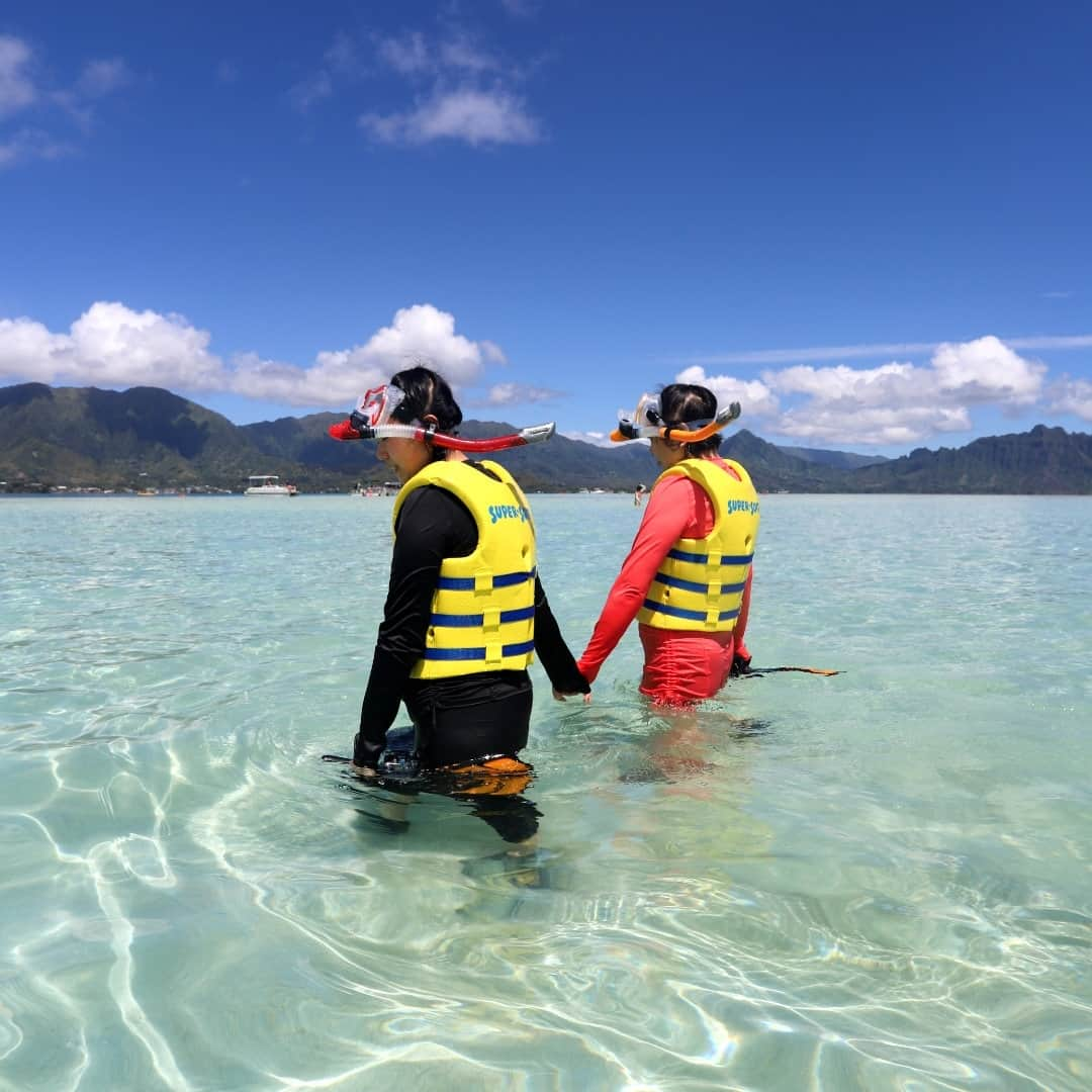 Luxury Cruise by Captain Bruceのインスタグラム：「シュノーケリングスポットまで歩いて移動🚶‍♀️⁠ シュノーケル＆マスク🤿を着用したらサンゴ礁がたくさん生息するスポットまで歩いて向かいます。⁠ ⁠ 足が着くところからシュノーケリングがスタートできるのが、天国の海ツアーの特徴です！⁠ ⁠ 沢山のウミガメに出会えますように〜⁠ ⁠ #キャプテンブルース🔹⚓🔹 #天国の海ツアー #天国の海  #ハワイ #ハワイの自然 #シュノーケリング #カネオヘサンドバー #oahu ⁠#kaneohesandbar #hawaii #ahuolaka #hawaiivacation #hawaiitours #familyfriendlytravel #kaneohesnorkeling #hawaiinature #captainbrucehawaii ⁠」