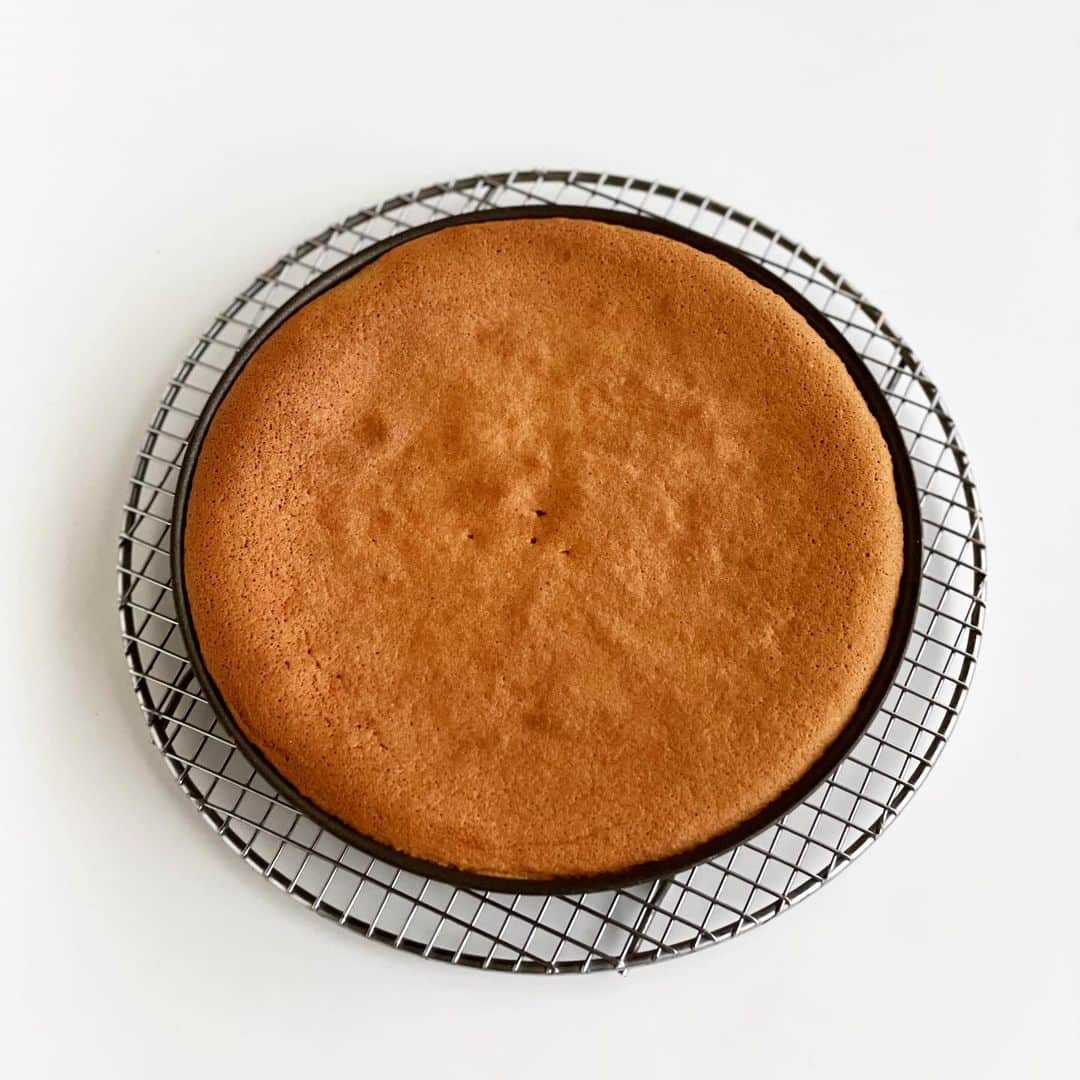 福田里香さんのインスタグラム写真 - (福田里香Instagram)「ばら科の焼き菓子。 🍒アマレーナのパントジェンヌ  アーモンドもチェリーもばら科の植物。 だから、前々からアーモンド粉で作る パントジェンヌに、アマレーナを 焼き込んだら合うと思っていたので 作ってみました。  大きな22cmのマンケ型で焼くと ちまちませず、せせこましくなく どこかせいせいした気分になる。 本寸法、あぁ、昔の大きさだ。  🍒AMARENA FABBRI🍒 @amarenafabbrideutschland   アマレーナはボローニャとモデナで 特に生産されているサワーチェリー。 「アマレーナ ファブリ」は 🇮🇹のシロップ漬けのさくらんぼです。 この品種じゃないと絶対出ない フレーバーがたしかにある。 「品種が違う」って本当に 凄いことだとしみじみ思う。  ドクターペッパーやチェリーコーク チェリーキャンディ等の 「人工的につけたチェリー味」の 元ネタだといえばわかりやすいかな。  粉は入れずに 100%アーモンドプードルで作った 🍒入りのパントジェンヌは 外国の味でした。  アマレーナファブリのパッケージは 乳白色のガラス瓶で、首のところに 瓶の形を模したレシピカードが 蛇腹に折りたたんで付いていた。 あんまり見たことないタイプ。 #包装までが製菓です」4月8日 7時49分 - riccafukuda