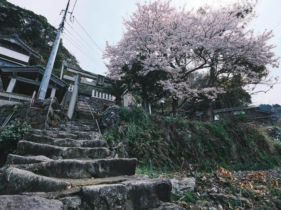 plus_thinkingさんのインスタグラム写真 - (plus_thinkingInstagram)「桜のある風景 . camera: X-T3 lens: FUJINON  XF10-24㎜F4 R OIS WR . #今日もX日和 #beautifuljapan #snapJapan」4月8日 8時10分 - plus_thinking