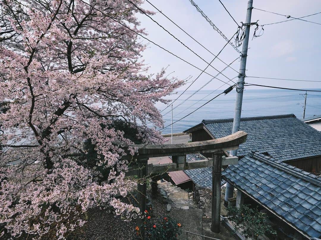 plus_thinkingのインスタグラム：「桜のある風景 . camera: X-T3 lens: FUJINON  XF10-24㎜F4 R OIS WR . #今日もX日和 #beautifuljapan #snapJapan」
