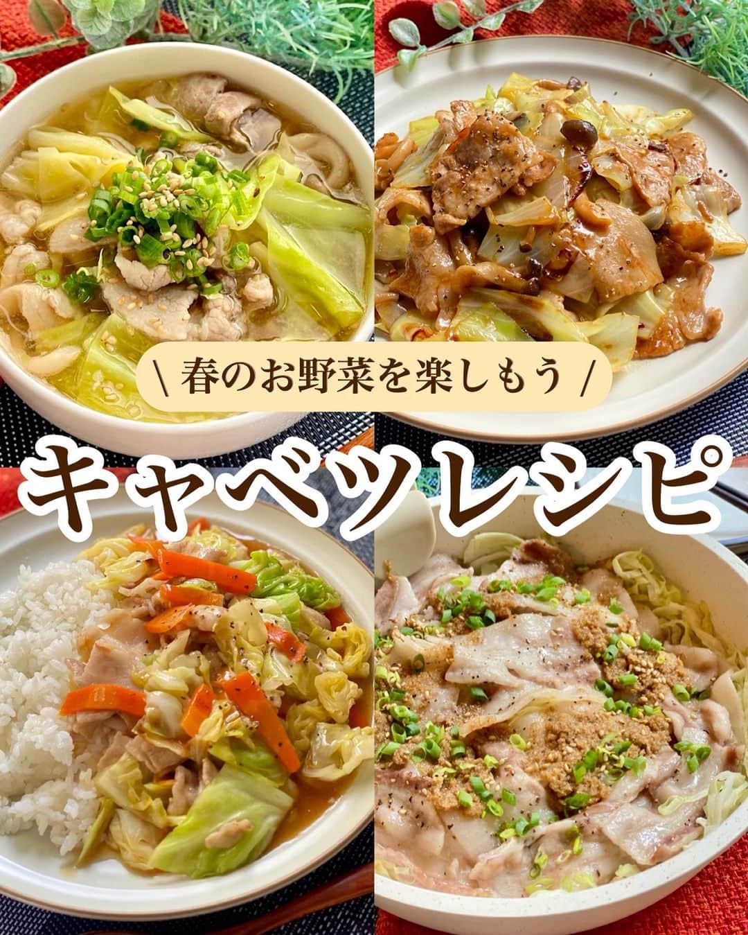山本菜月のインスタグラム：「⁡ ⁡ ⁡ ⁡ ┈┈┈┈┈┈┈┈┈┈┈••✼ 春のお野菜を楽しもう キャベツレシピ ┈┈┈┈┈┈┈┈┈┈┈••✼ ⁡ ⁡ ⁡ おはようございます♡ なつき(@zubora_meshi_ )です😊 ⁡ 春のお野菜はやわらかくみずみずしくて とってもおいしい😋❤️ ⁡ キャベツ丸ごと購入しても おいしく消費できる簡単レシピを ご紹介させてください🤲💗 ⁡ 全てフライパン(鍋)ひとつで完結♩ 是非お試しくださいね😌 ⁡ ⁡ ⁡ ｡.ꕤ⌒⌒⌒⌒⌒⌒ꕤ⌒⌒⌒⌒⌒⌒ꕤ.｡ ⁡ ⁡ ⁡ ⁡ ☑︎味噌キャ豚スープ 【材料2人分】 豚バラ肉 100g キャベツ 1/8玉(100gくらい) ぶなしめじ 1/4パック ごま油 小さじ2 ⚫︎水 500ml ⚫︎味噌、みりん、鶏がらスープの素 各小さじ2 ⚫︎醤油 小さじ1 白ごま、小葱 適量 ⁡ 【作り方】 ①豚バラは3cm幅 　ぶなしめじは石づきをとり 　キャベツは一口大に切る。 ②鍋にごま油をひき、食材を全て入れたら 　全体がしんなりするまで炒める。 ③⚫︎を入れ一煮立ちさせて完成。 　器に盛り付け、お好みでごまと小葱をふる。 ⁡ ⁡ ⁡ ＊＊＊ ⁡ ⁡ ⁡ ☑︎豚野菜のあんかけごはん 【2人分】 ごはん 好きなだけ 豚バラ肉 150g キャベツ 1/2玉(200g) にんじん 1/2本(80g) ごま油 小さじ2 ⚫︎水 200cc ⚫︎しょうゆ、みりん、片栗粉 各大さじ1 ⚫︎オイスターソース、鶏がらスープの素 各小さじ2 粗挽き黒胡椒 適宜 ⁡ 【作り方】 ①フライパンにごま油をひき 　豚バラ(3cm幅)にんじん(短冊切り)を入れ 　豚バラに火が通るまで炒める。 ②キャベツ(ザク切り)を入れ 　しんなりするまで炒める。 ③合わせておいた⚫︎を入れ 　とろみがついたらごはんにかける。 　お好みで粗挽き黒胡椒をふる。 ⁡ ⁡ ⁡ ＊＊＊ ⁡ ⁡ ⁡ ☑︎ガリバタ炒め 【材料2人前】 豚バラ肉 160g キャベツ 300g (1/6玉くらい) しめじ 1/2袋 バター 15g ⚫︎しょうゆ 大さじ2 ⚫︎酒、みりん 各大さじ1 ⚫︎砂糖 大さじ1/2 ⚫︎にんにくチューブ 小さじ1/2 ⚫︎片栗粉 小さじ1 粗挽き黒胡椒 適宜 ⁡ 【作り方】 ①フライパンにバターをひき 　豚バラ肉(3〜4cm幅)を炒める。 ②キャベツ(一口大)しめじ(石付きをとる) 　を加え、しんなりするまで炒める。 ③あらかじめ合わせておいた⚫︎を回し入れ 　全体と絡めば完成。 　お好みで粗挽きペッパーをふる。 ⁡ 【メモ】 少し濃いめの味付けにしてあります。 お好みで醤油を減らしてください。 ⁡ ⁡ ⁡ ＊＊＊ ⁡ ⁡ ⁡ ☑︎豚キャベツ蒸し 【材料2人分】 豚バラ肉 150g (ロースでも可) キャベツ 300g(小さめのキャベツ1/4) 塩胡椒 適量(しっかりめがおいしい) 酒 大さじ2 ⚫︎ポン酢、すりごま 各大さじ2 ⚫︎砂糖 小さじ2 ⚫︎ごま油 小さじ1 小葱、白ごま 適宜 ⁡ 【作り方】 ①フライパンにキャベツ(細切り)豚バラ(一口大) 　の順に重ね、塩胡椒、酒をふる。 　フタをして弱めの中火で7分30秒加熱する。 ②合わせた⚫︎、お好みで小葱や白ごまをふる。 ⁡ ⁡ ⁡ ｡.ꕤ⌒⌒⌒⌒⌒⌒ꕤ⌒⌒⌒⌒⌒⌒ꕤ.｡ ⁡ ⁡ 最後までご覧頂きありがとうございます。 是非、食レポを聞かせてくださると嬉しいです♡ ⁡ ＊NATSU KITCHEN ＊」