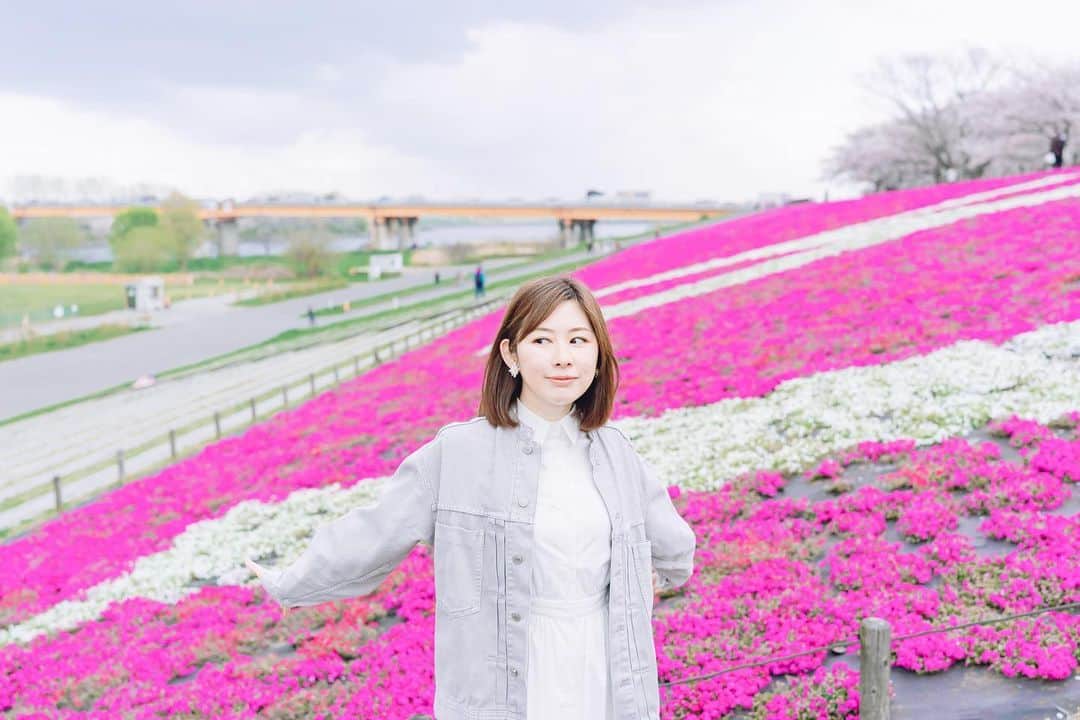 吉野史桜のインスタグラム：「芝桜も綺麗だったよ☺️ 🌸🌸🌸🌸🌸 Photo by @genphotogenic   #ポートレート  #写真 #photography #photo #photoshoot #portrait #桜 #さくら #🌸 #春 #spring #赤羽 #芝桜」