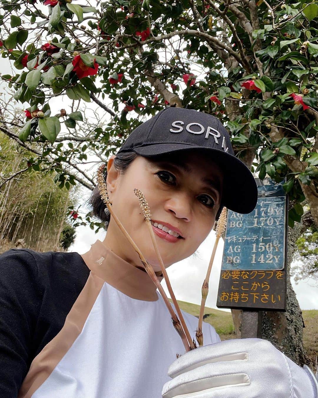 橋本志穂さんのインスタグラム写真 - (橋本志穂Instagram)「先日の雨のゴルフで、、 土筆見つけたのー❣️ もう穂が開き切って 食べられないけど  みたいな話したら 「え？土筆ってなんですか？食べられるんですか？どうやって？」と 都会育ちの若者が 驚いてる。 それに驚いた私。  昭和の田舎モンは みんな知ってるよねー❓  #土筆 #つくし #食べられる #卵とじ #収穫 #ゴルフ」4月8日 8時54分 - shihohashimoto3