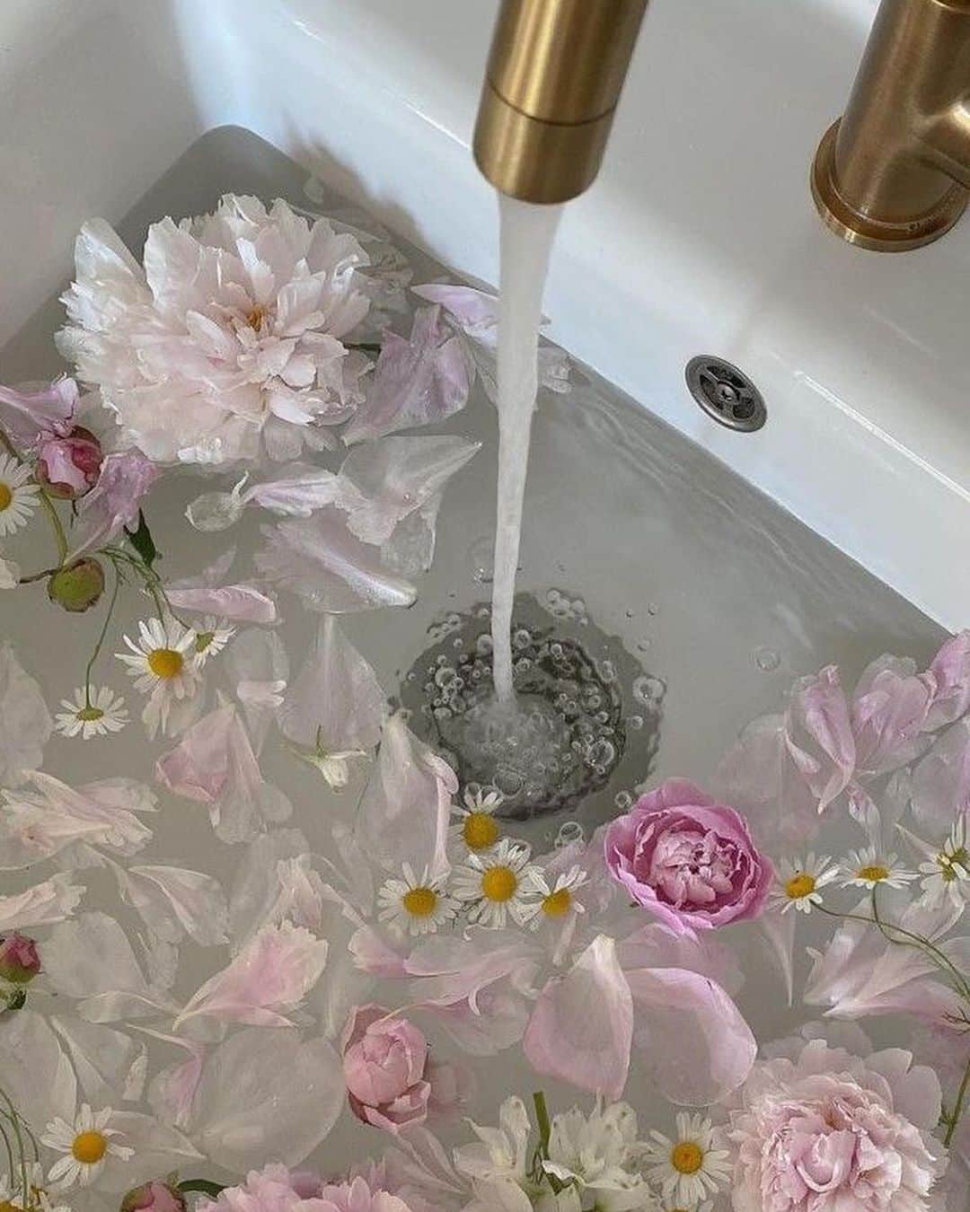 ベイリー44のインスタグラム：「Spring has sprung and we are living for it. The Bailey shop presents Spring 2023 looks.」
