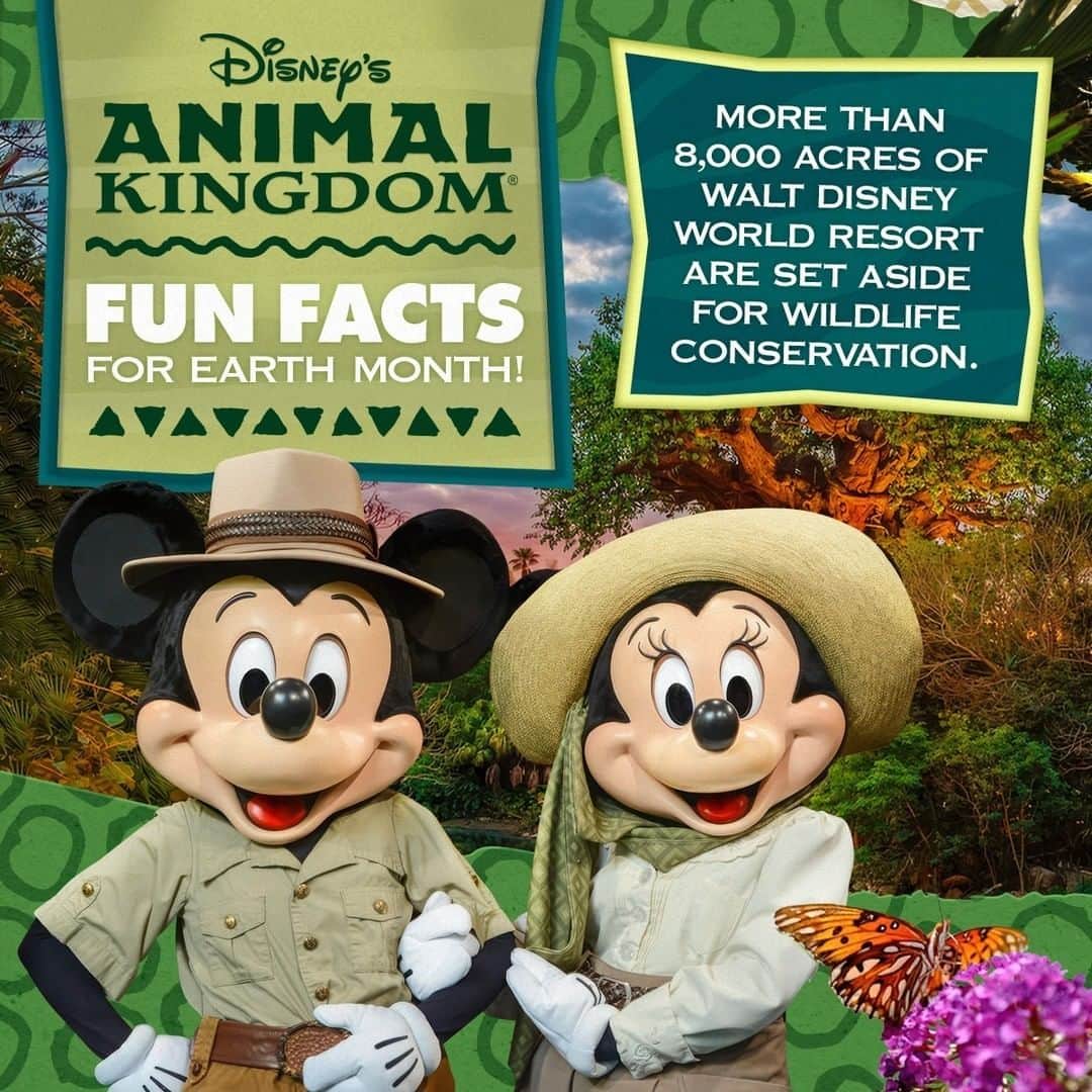 ミッキーマウスさんのインスタグラム写真 - (ミッキーマウスInstagram)「These facts about Disney’s Animal Kingdom Theme Park at @WaltDisneyWorld are a roaring good time! ✨🌴 #EarthMonth #DisneyPlanetPossible」4月8日 9時42分 - mickeymouse