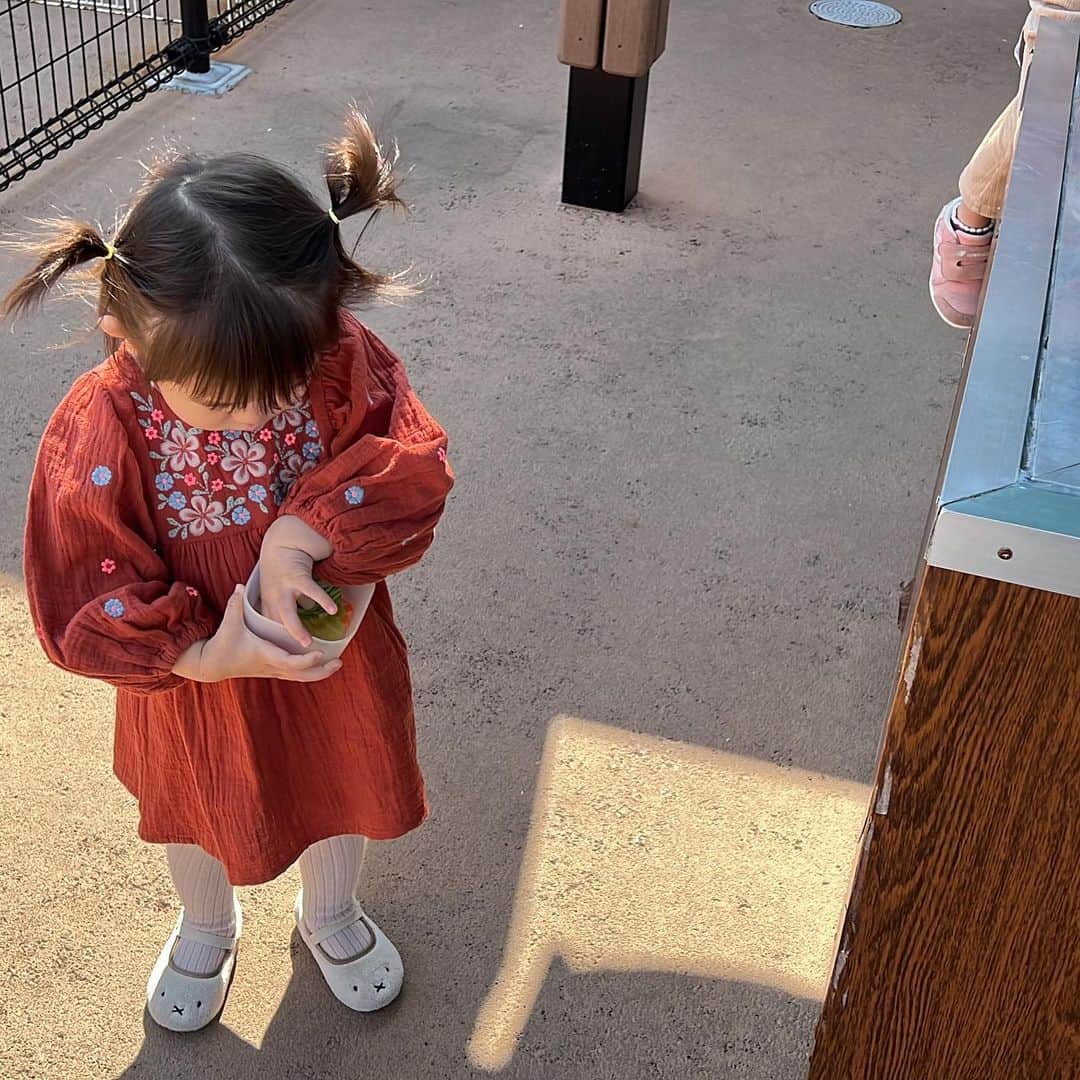 菊地亜美さんのインスタグラム写真 - (菊地亜美Instagram)「. 先日娘と二人で初めてあらかわ遊園へ🎡🤍 動物と触れ合える場所を探して辿り着いたのですが、遊園地もあるし公園もあるし動物も触れ合えるし最高すぎた😍🐰🥕🛝🌈  私は動物は遠くから見てるだけだったけど、娘は膝に乗せたりエサをあげたり撫でたりとても楽しそうでした👧🏻❤️‍🔥笑  そして後ろに並んでた初めましての親子さんと観覧車乗っちゃった🎡笑 外国のママさんで遊園地に連れてきたのが初めてだとおっしゃってて、娘も楽しそうだったので🤣✨ 連絡先も知らないですが楽しいひと時でした🧡🧡  最後は公園で遊んで、満喫した一日でした😮‍💨🤍  #あらかわ遊園」4月8日 9時53分 - amikikuchi0905