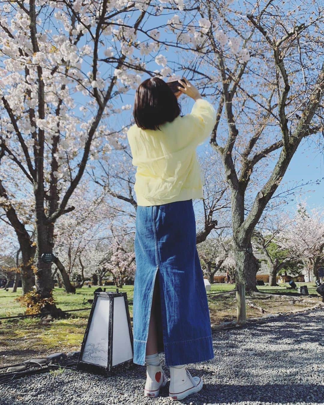 武田訓佳さんのインスタグラム写真 - (武田訓佳Instagram)「🤳 ・ ・ せっかくたくさんあるので🌸 カメラロールが桜でいっぱい🤍 ・ ・ 京都で桜。 アートな桜。 ・ 素敵な春でした🍡🤍 ・ ・ ・ #二条城 #すまたん #たけだのおしごと #たけだの春」4月8日 9時54分 - kunika0117