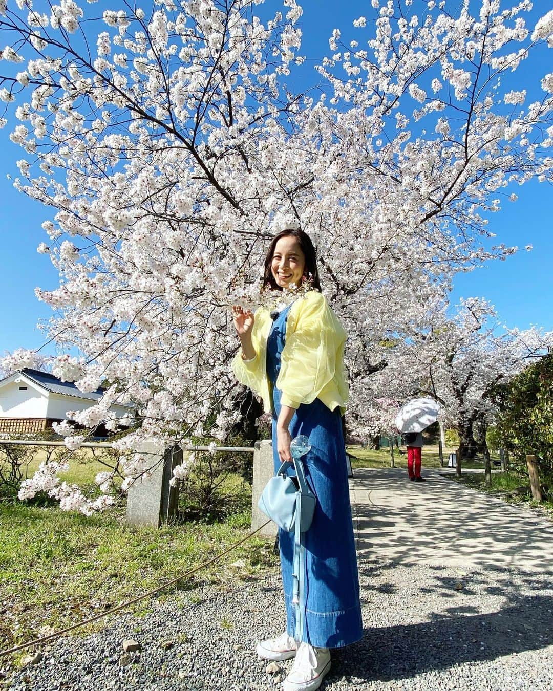 武田訓佳のインスタグラム：「🤳 ・ ・ せっかくたくさんあるので🌸 カメラロールが桜でいっぱい🤍 ・ ・ 京都で桜。 アートな桜。 ・ 素敵な春でした🍡🤍 ・ ・ ・ #二条城 #すまたん #たけだのおしごと #たけだの春」