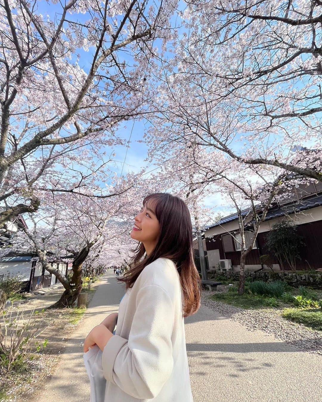 高木晴菜さんのインスタグラム写真 - (高木晴菜Instagram)「*  今年も綺麗な桜をたくさん見られて大満足です🌸  #桜 #お花見 #秋月 #舞鶴公園」4月8日 10時08分 - harunatakagi