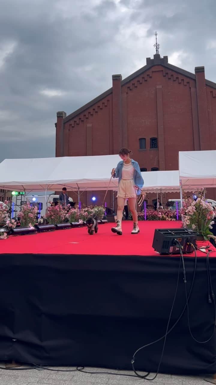 のインスタグラム：「今日は みみちゃんファッションショーデビューでした❣️  終始ご機嫌で初ランウェイも元気いっぱい 歩いてくれました❣️  いい思い出作りができて 私も楽しかった😇❣️  みみちゃんよくできました💜  #LWDwithSHEIN #SHEINコーデ #SHEINモデル」