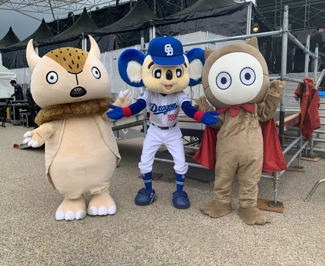 ドアラのインスタグラム
