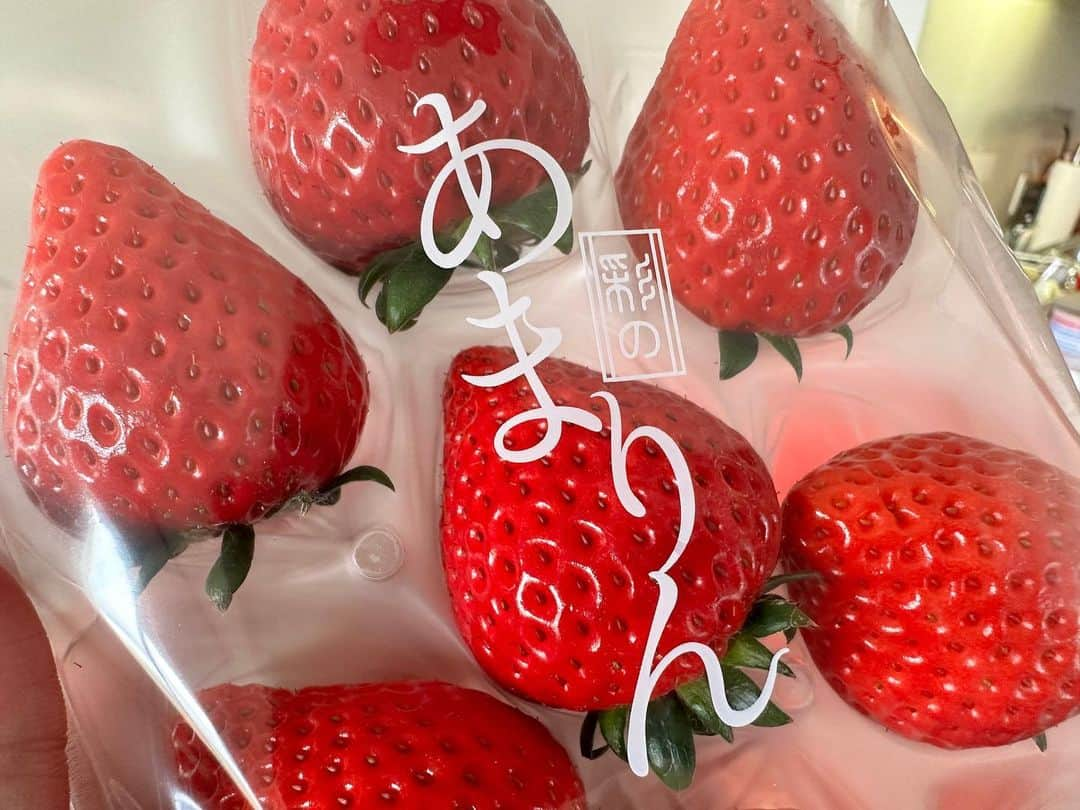 マスオさんのインスタグラム写真 - (マスオInstagram)「超美味しそうないちごがたくさん届いたぞーい！🍓🍓🍓  昨年撮影でお世話になった埼玉の五十嵐苺園の皆さんが送ってくださいました！ありがたすぎます！😂  美味しくいただきまっすお！  【マスオが転職!?】ゲットした食材で激ウマ料理を作っていくぞ！ https://youtu.be/_hTaFwdqFRo @YouTubeより  @igarashi.ichigoen」4月8日 11時38分 - masuotv