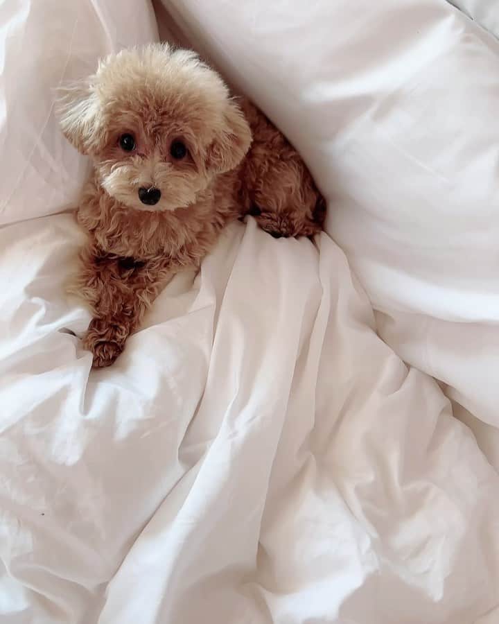 美香のインスタグラム