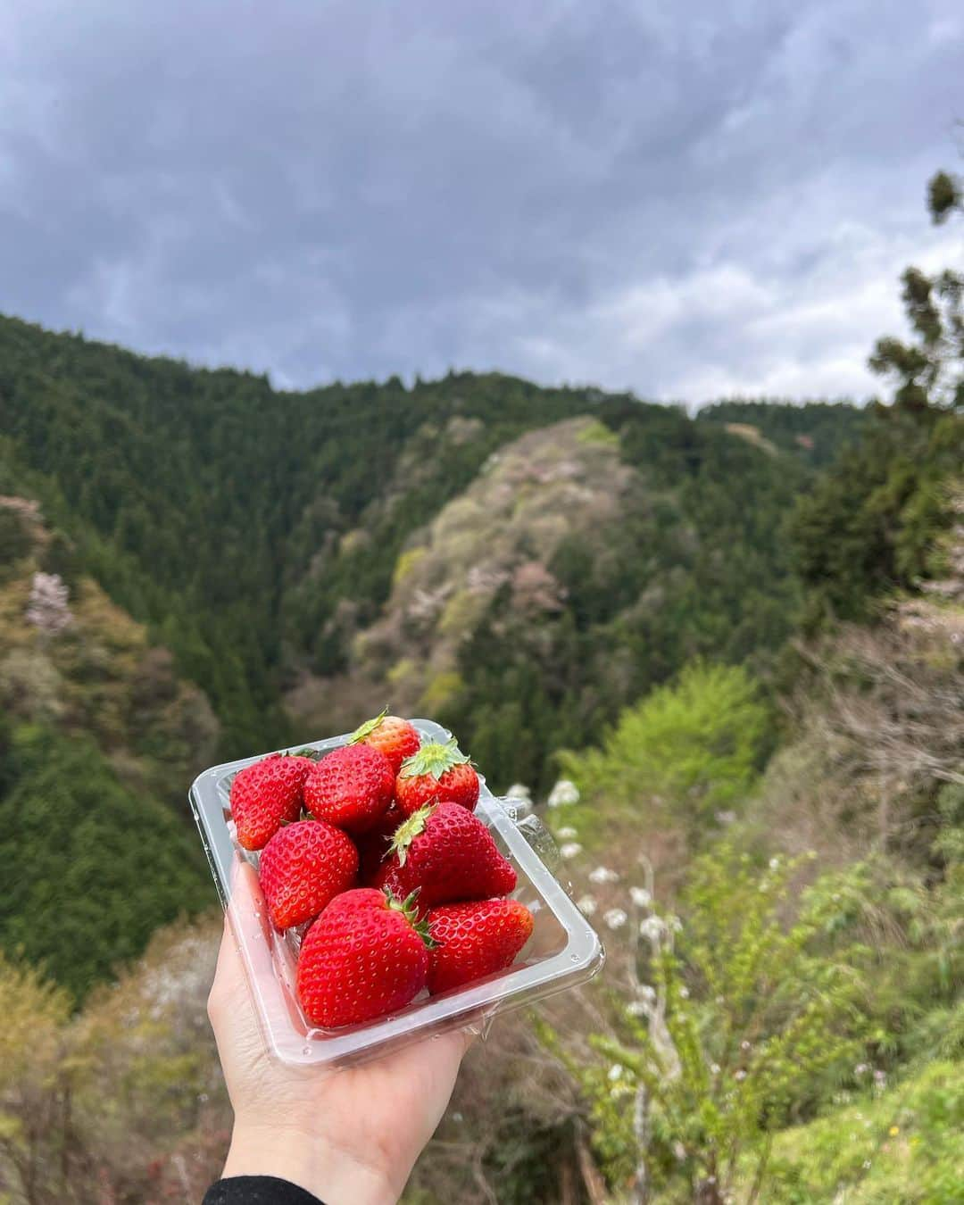 きこさんのインスタグラム写真 - (きこInstagram)「@theateronetokyo ⛰ 大自然のパワーーーーァァ  東京雄一の村にあるグランピング 誰もいない大自然の中でなにも気にせず大画面で 好きな映像見れるの最高すぎタ🐥💛 . . . #りなもはづもありがとう #笑いすぎた #theater1」4月8日 12時48分 - marutyome