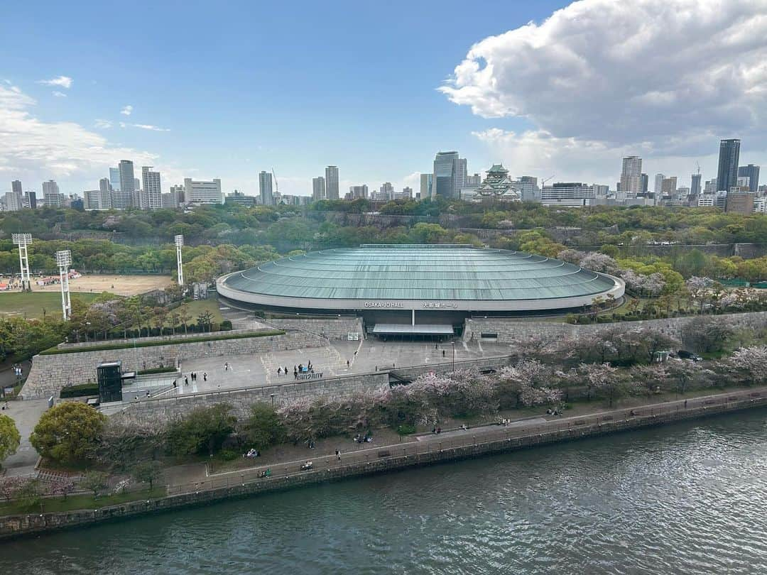 牧野誠三のインスタグラム：「この春最後の🌸花見ですね！シートを敷き、お弁当を広げる光景が見えていました。 新緑に、散る桜。季節の移ろいを見せてくれています。 大阪城公園太陽の広場は‥‥なんだろ？屋台などテント? 何かイベントやってますねー。 新学期、入学式、春を愛でる人々の姿を見て、よし！がんばろーと思います。 選挙も🗳️行くぞー！ #大阪城公園 #太陽の広場 #花見客 #桜の下 #お弁当 #ytv元アナウンサー #元読売テレビ #牧野誠三」