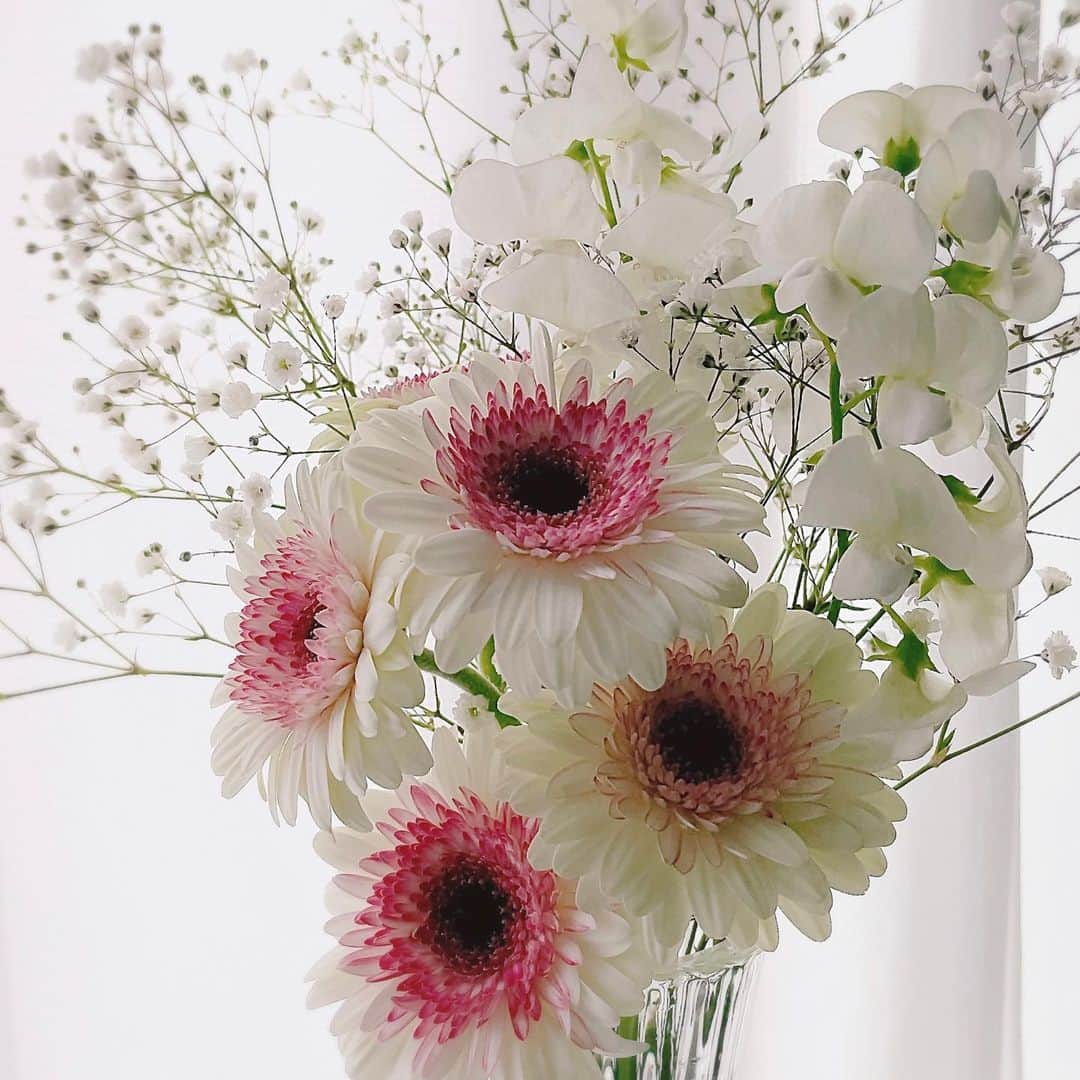 佐藤円香のインスタグラム